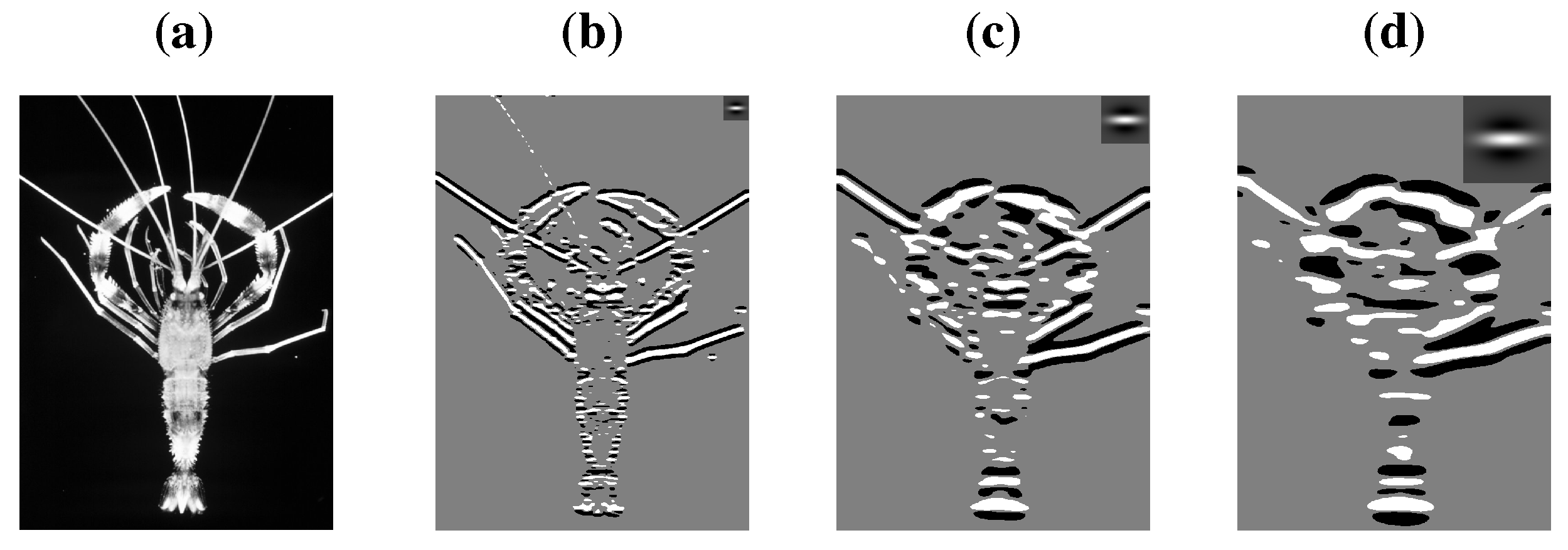 Symmetry 02 01510 g013 550