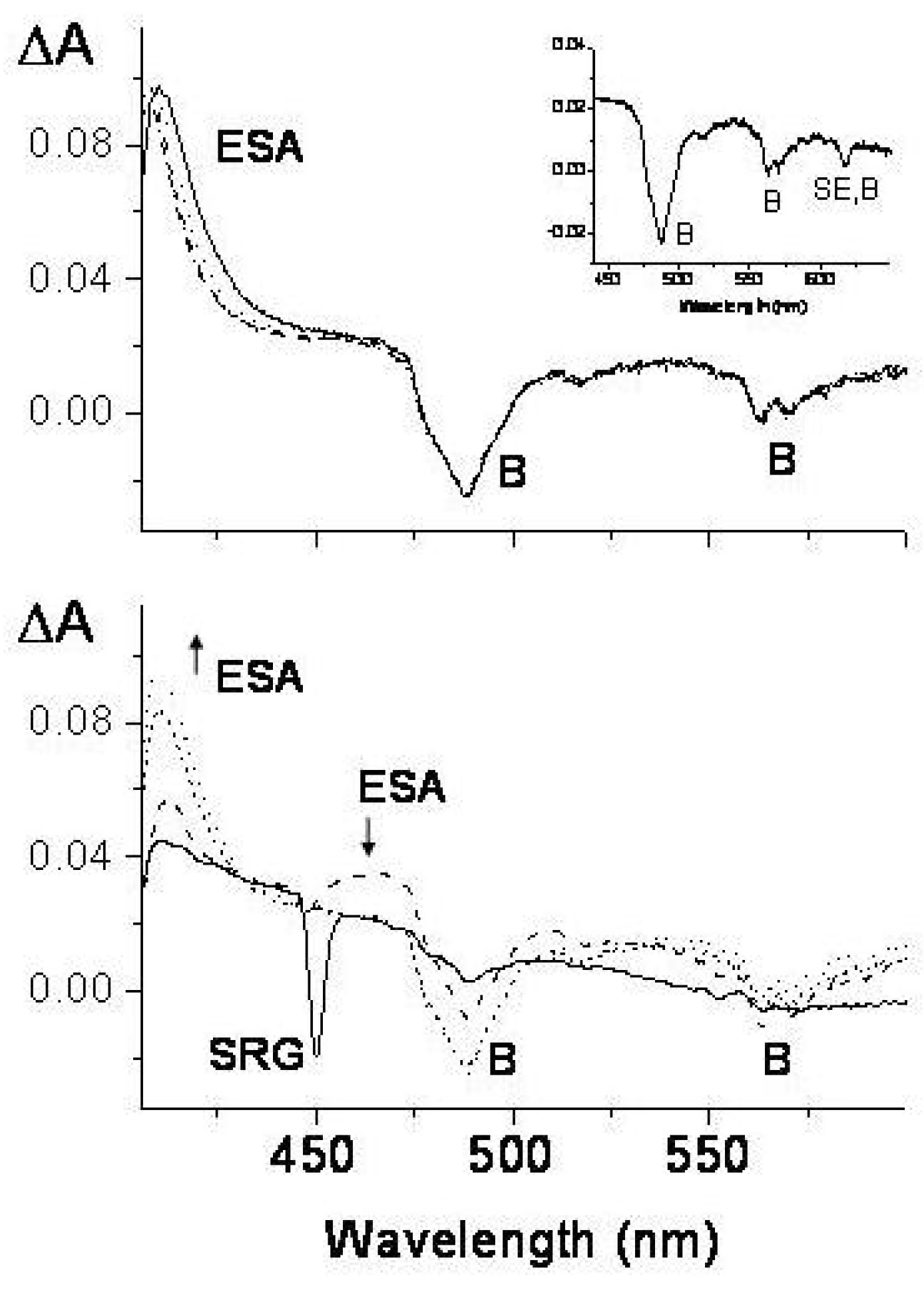 Symmetry 02 01846 g051 550