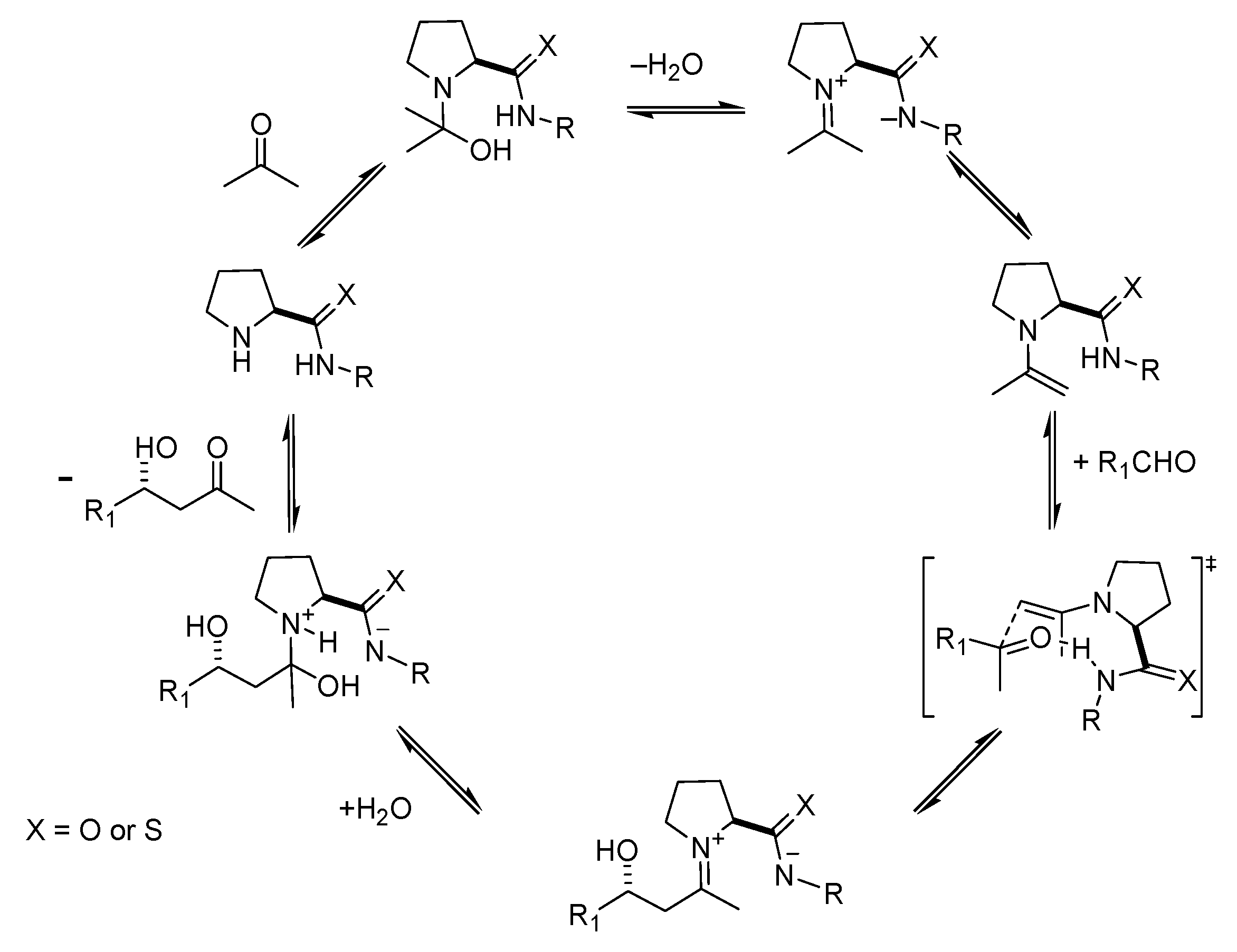 Symmetry 03 00265 sch008