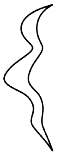 Symmetry 03 00365 g001