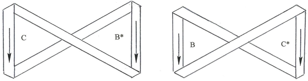 Symmetry 04 00039 g013
