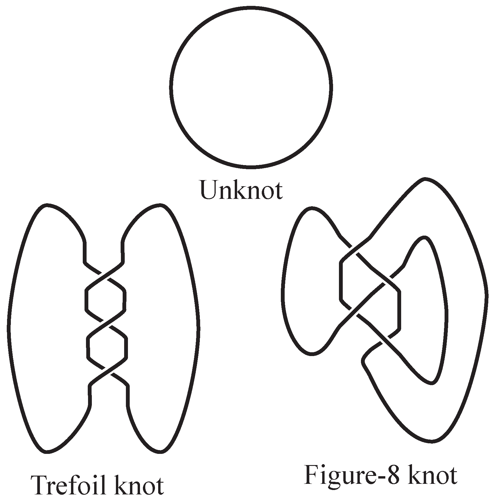 Fly Fishing Knots Example Collection with Loops and Twists Outline