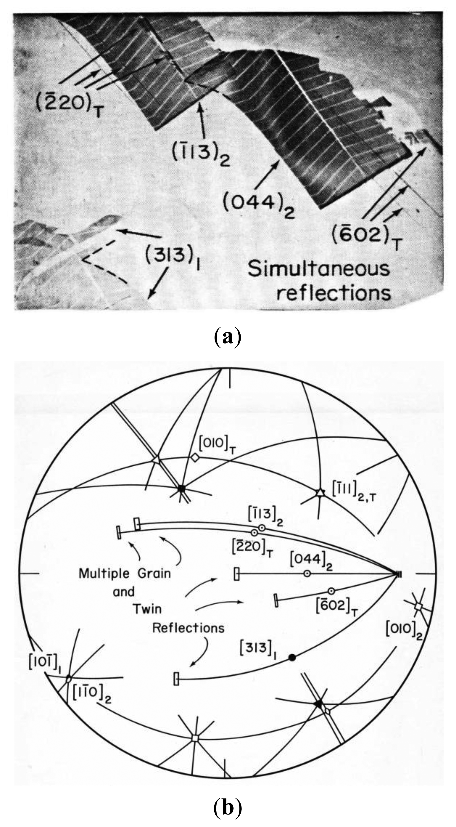 Symmetry 06 00148f13 1024