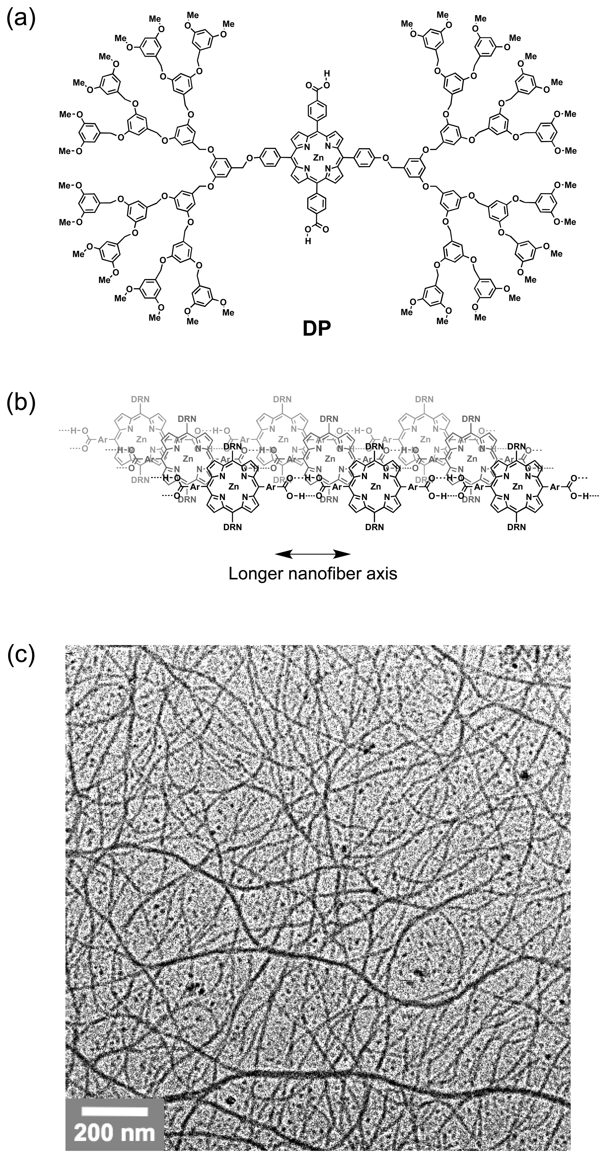 Symmetry 06 00383f2 1024