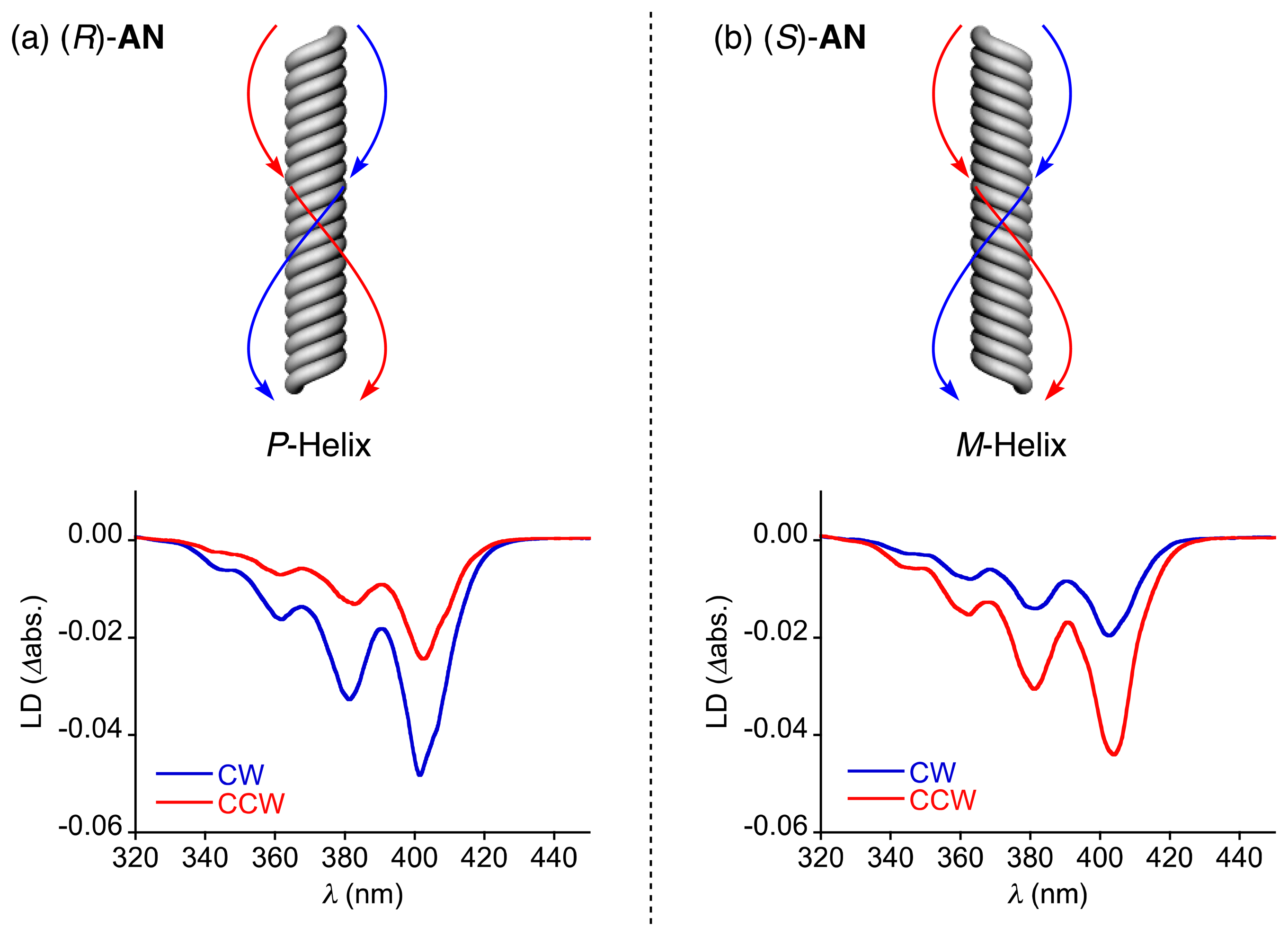 Symmetry 06 00383f5 1024