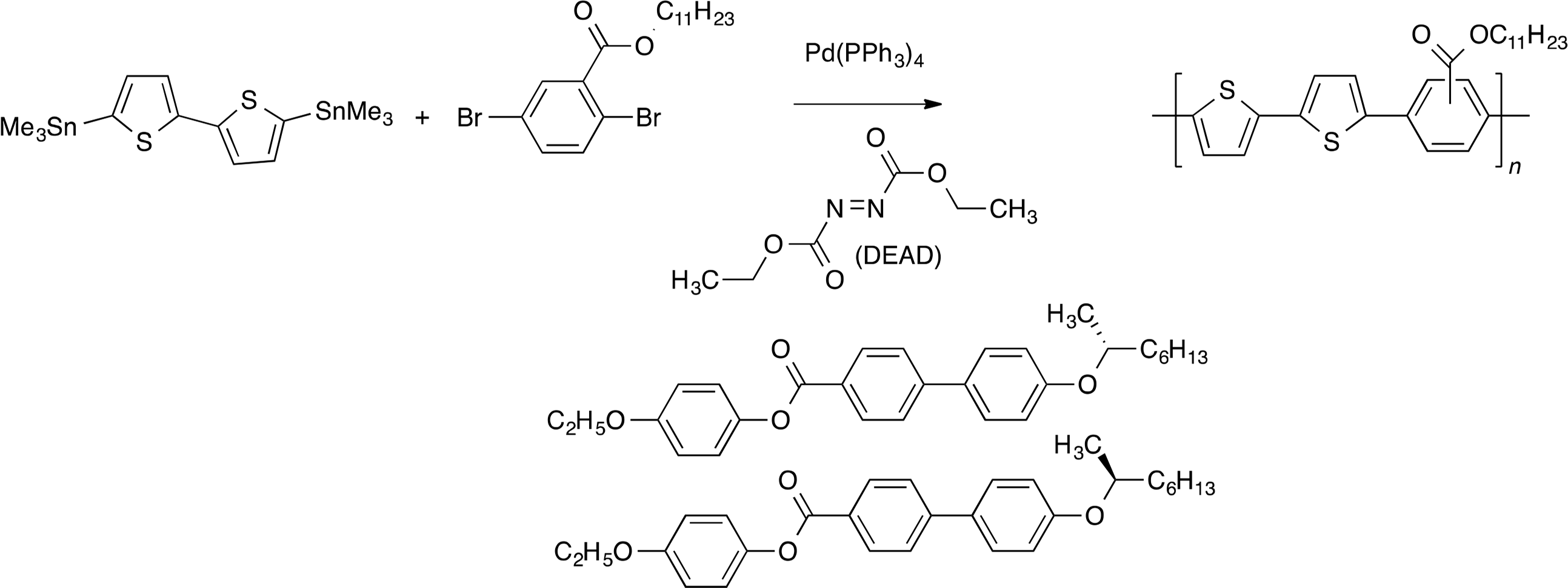 Symmetry 06 00677f30 1024