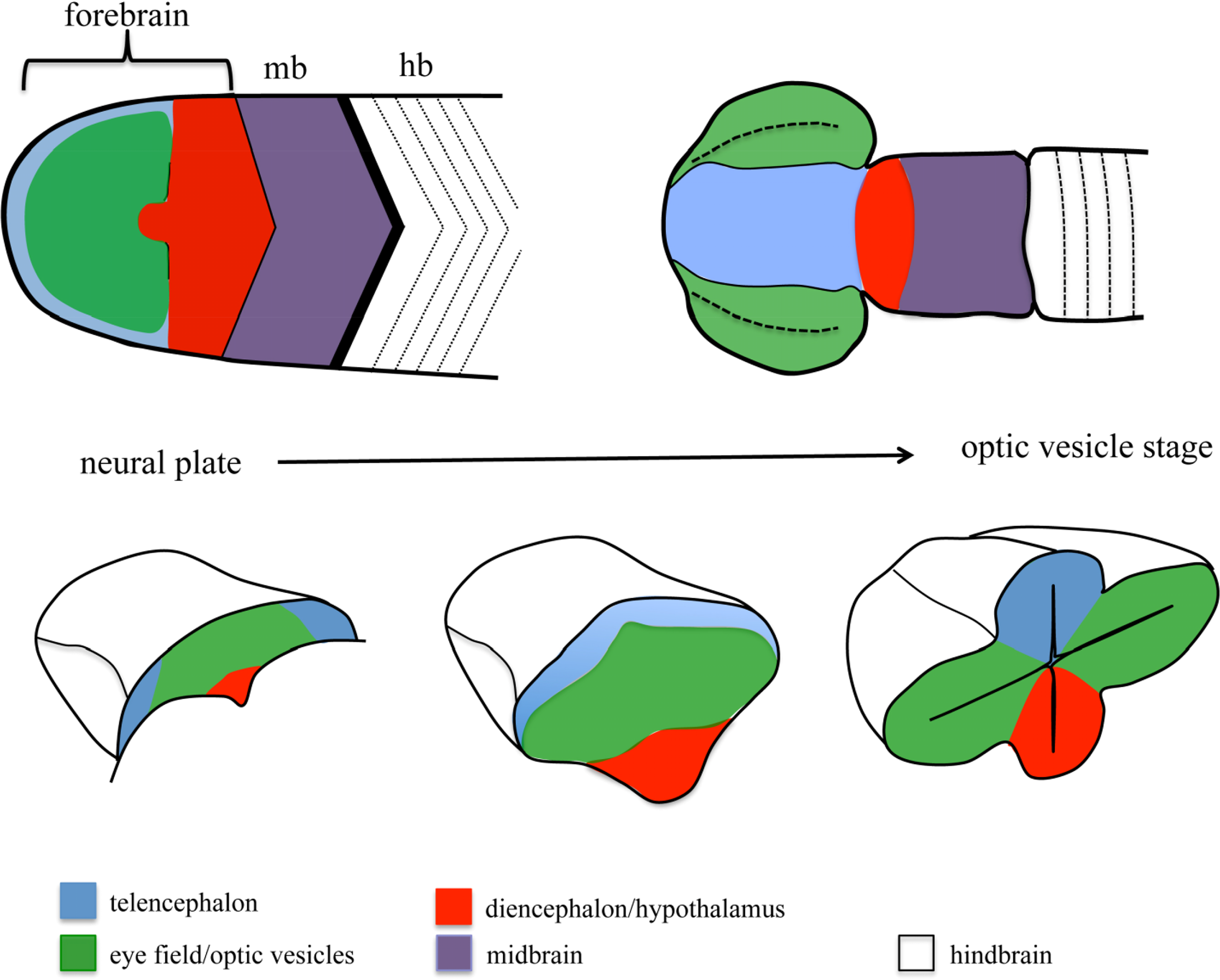 Symmetry 06 00704f1 1024