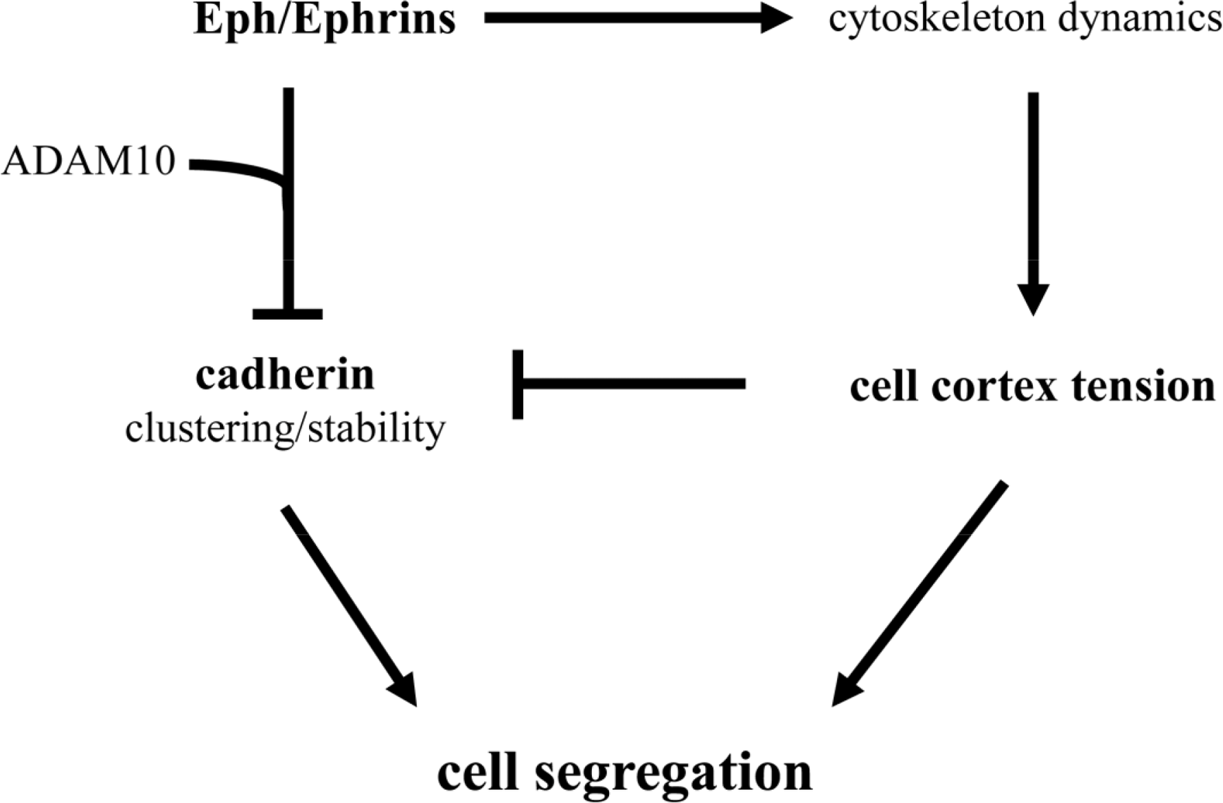 Symmetry 06 00704f2 1024