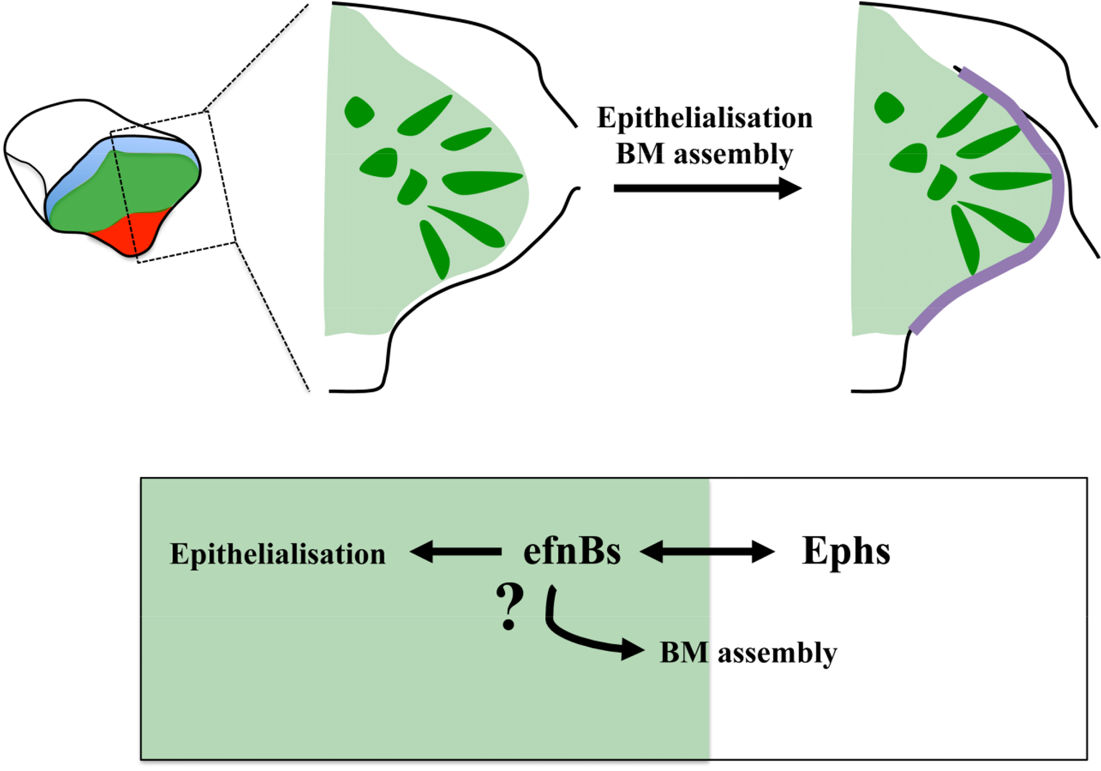 Symmetry 06 00704f3 1024