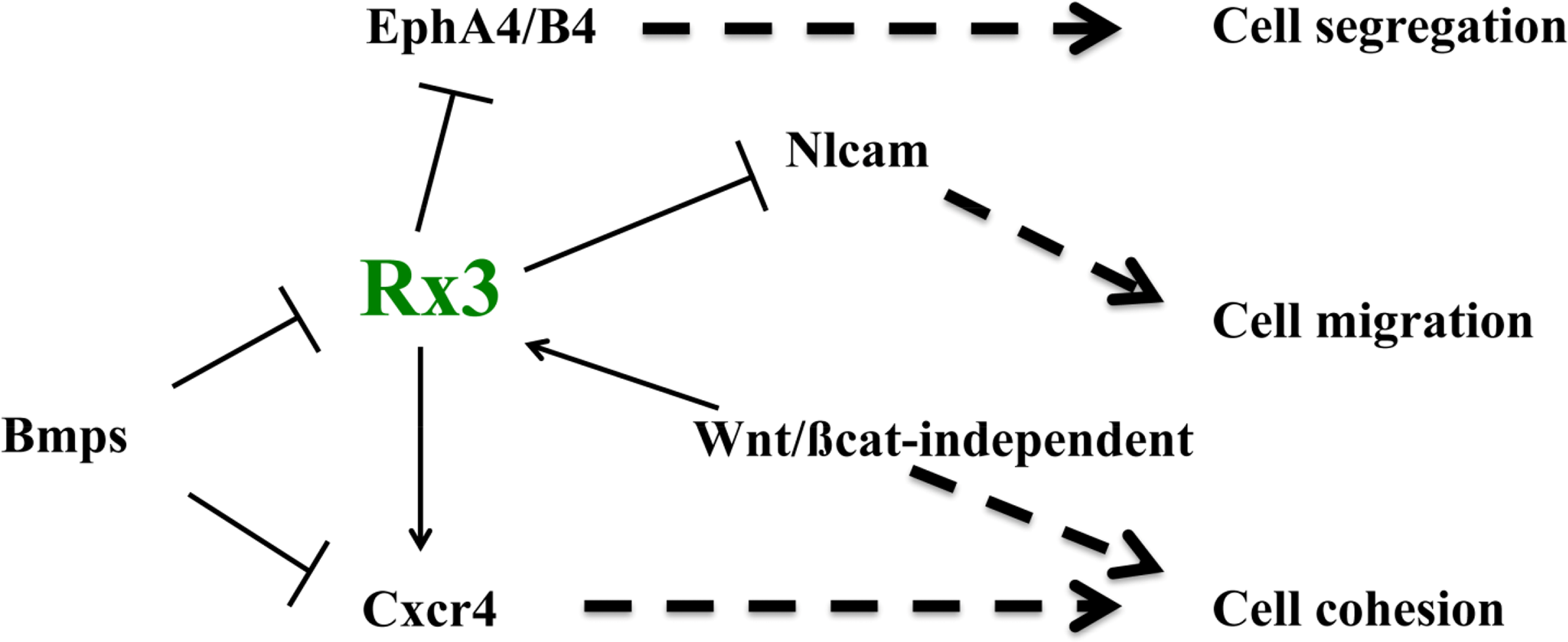 Symmetry 06 00704f4 1024