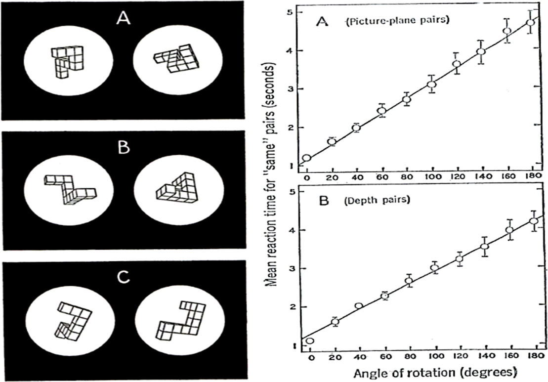 Symmetry 07 00089f1 1024