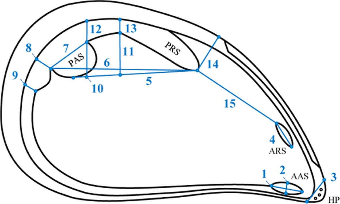 Symmetry 07 00488f2 1024