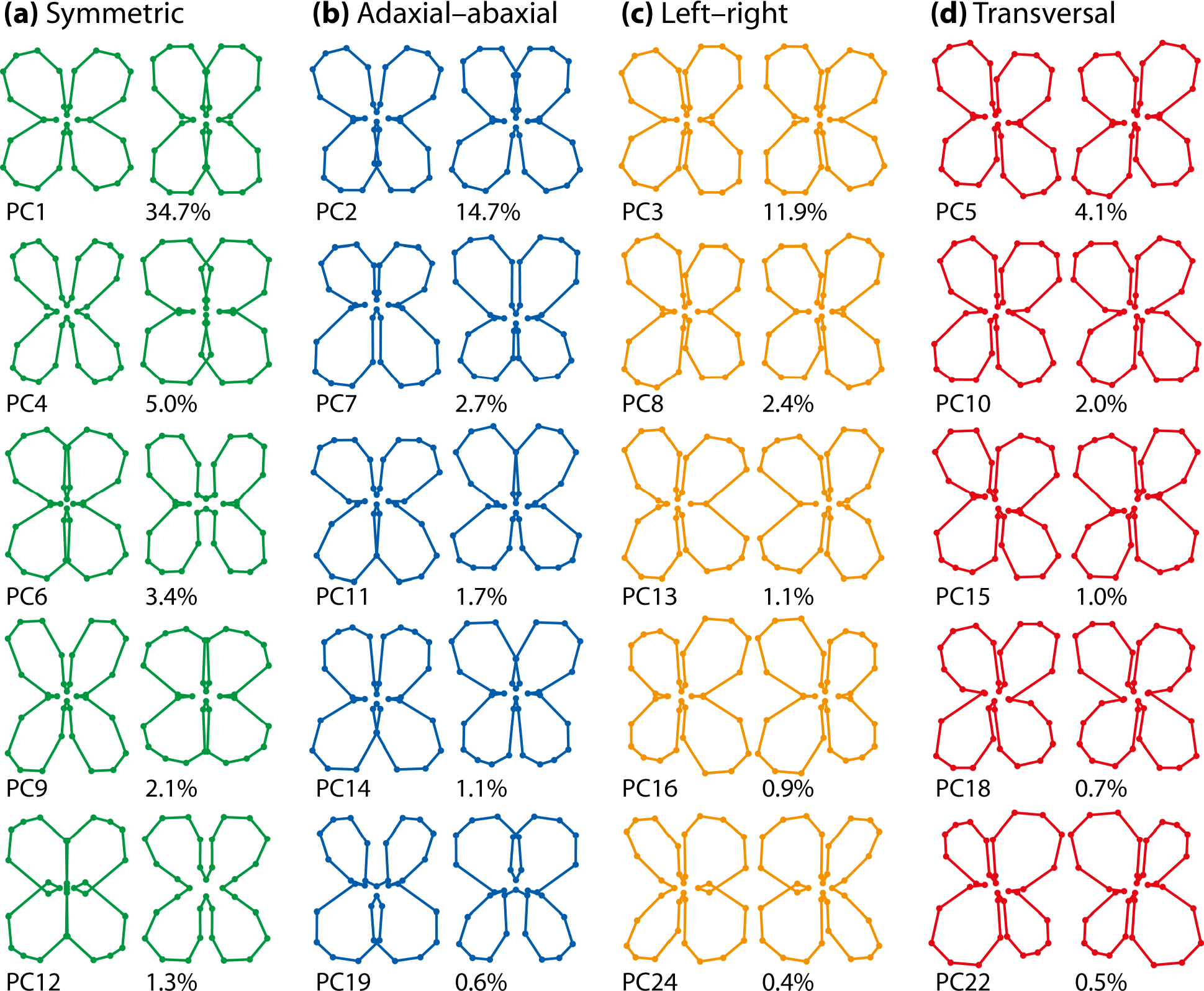 Symmetry 07 00843f13 1024
