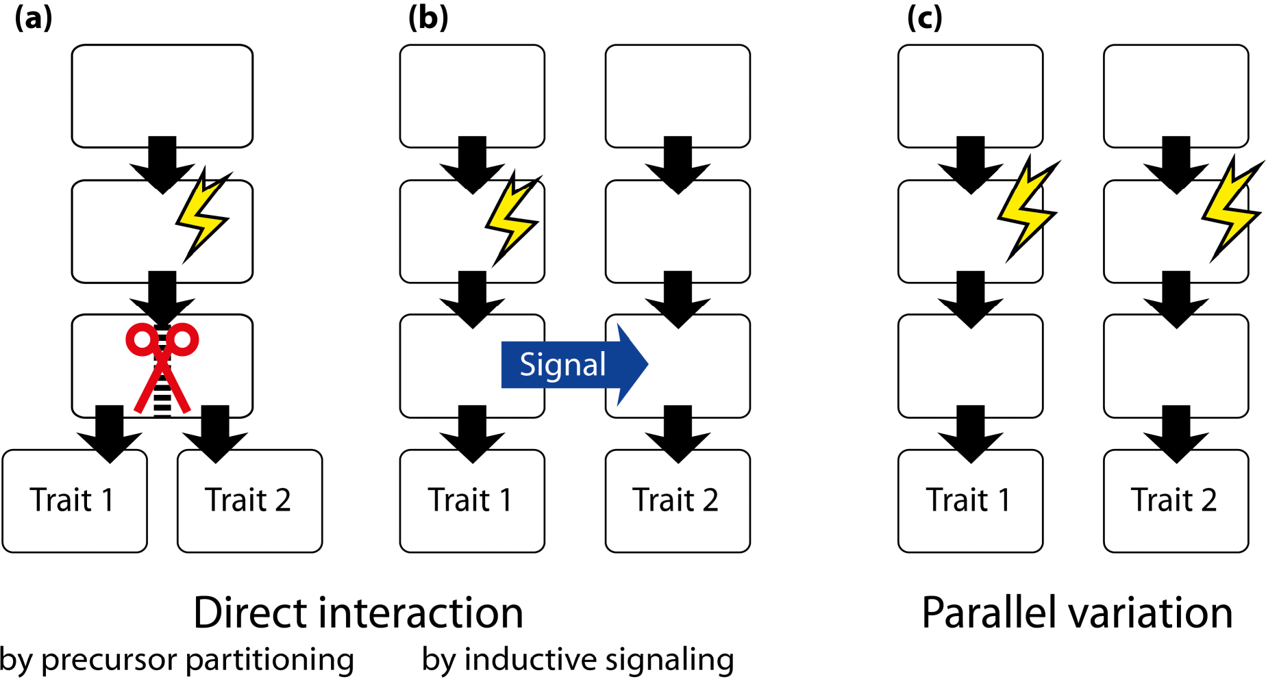 Symmetry 07 00843f17 1024