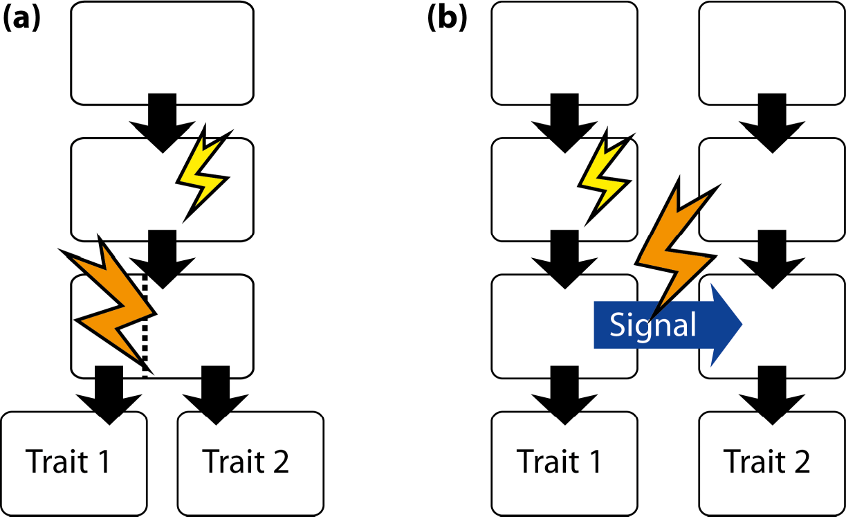 Symmetry 07 00843f18 1024