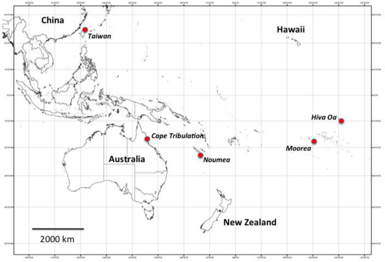 Symmetry 07 00976f2 1024