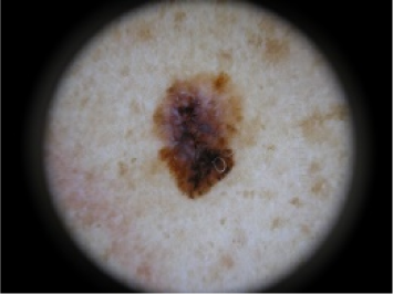 Symmetry 07 01061f13