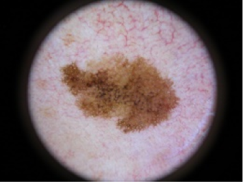 Symmetry 07 01061f17