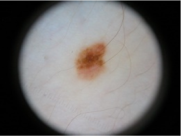 Symmetry 07 01061f19