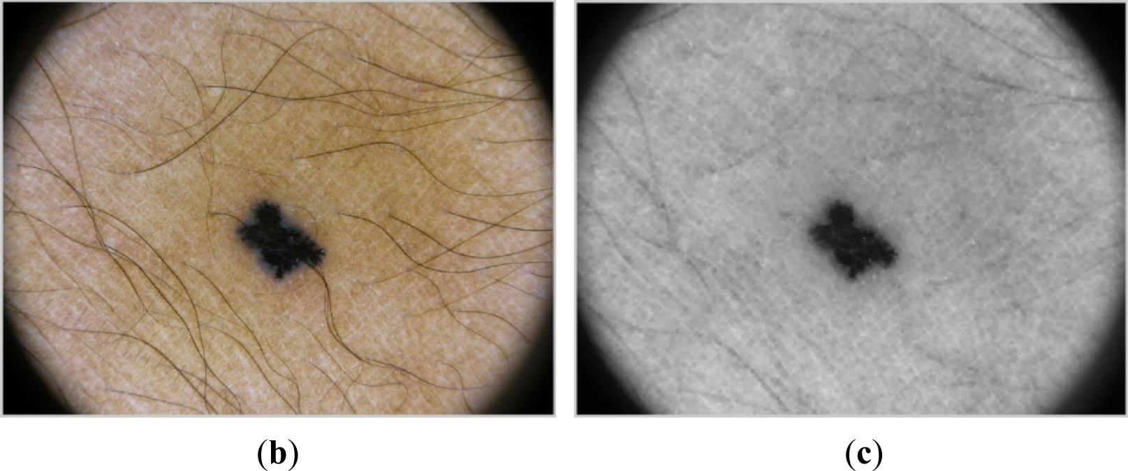 Symmetry 07 01061f2 1024