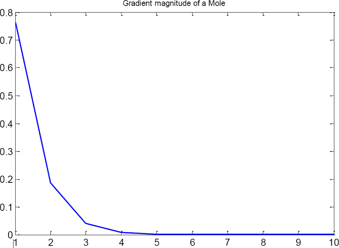 Symmetry 07 01061f7 1024