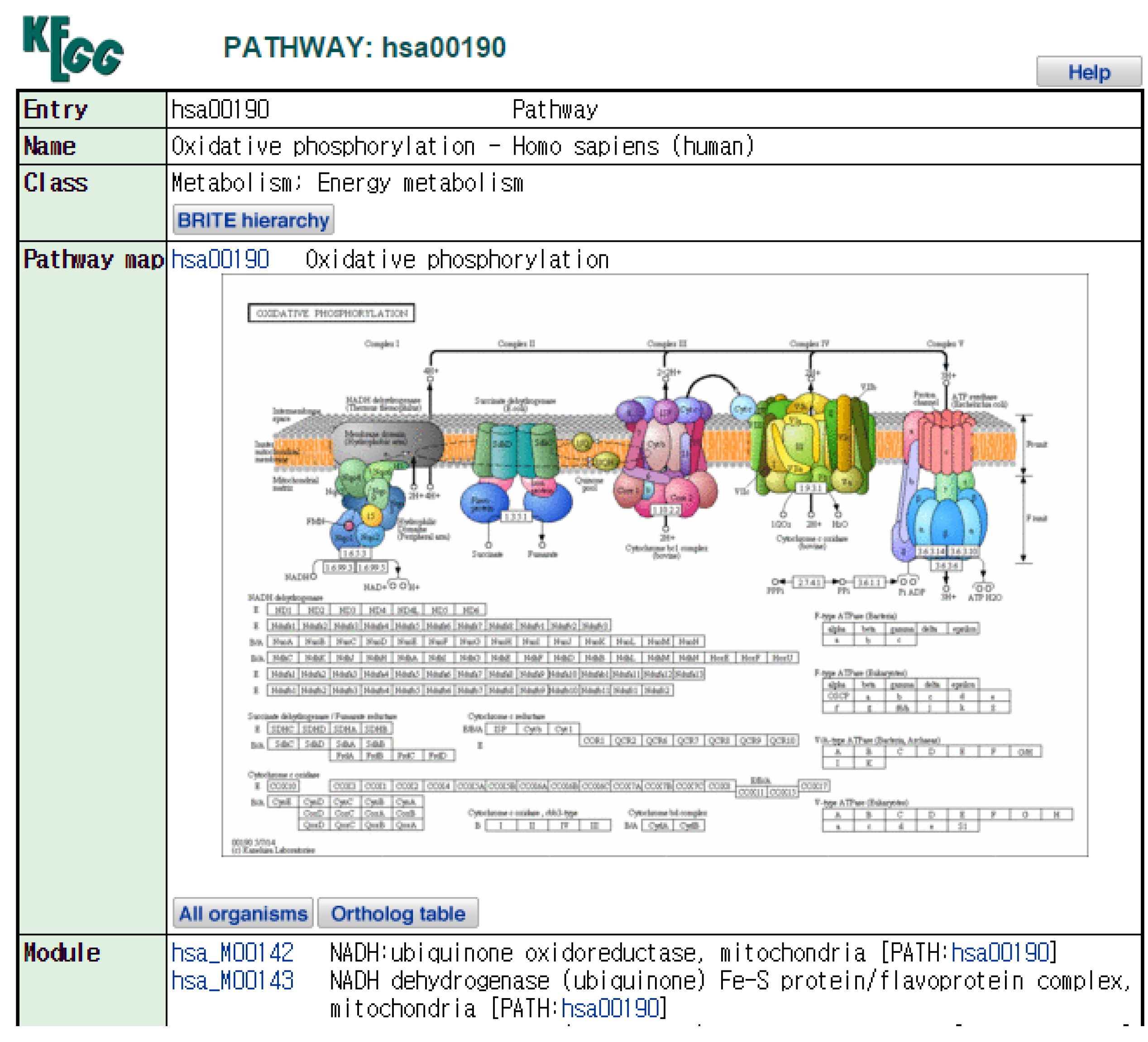 Symmetry 07 01275 g006