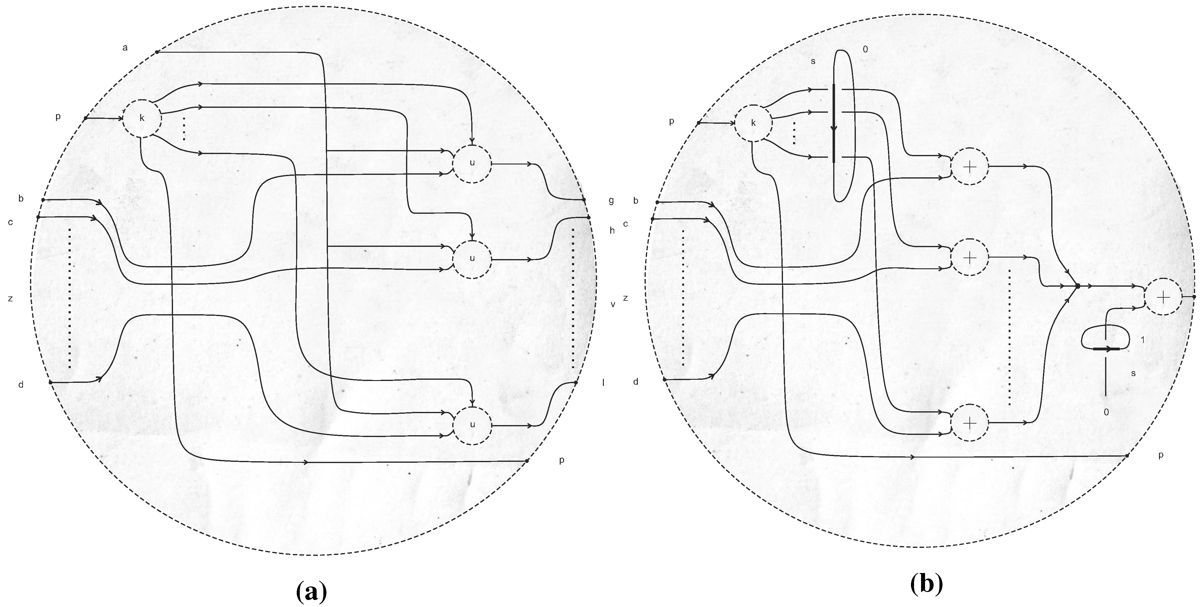 inkscape symmetry inkscape symmetry