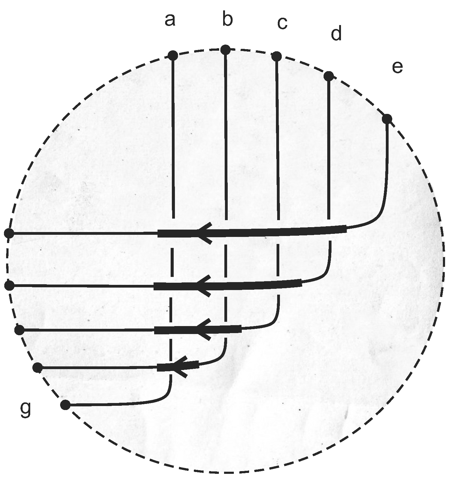 Symmetry 07 01289 g020