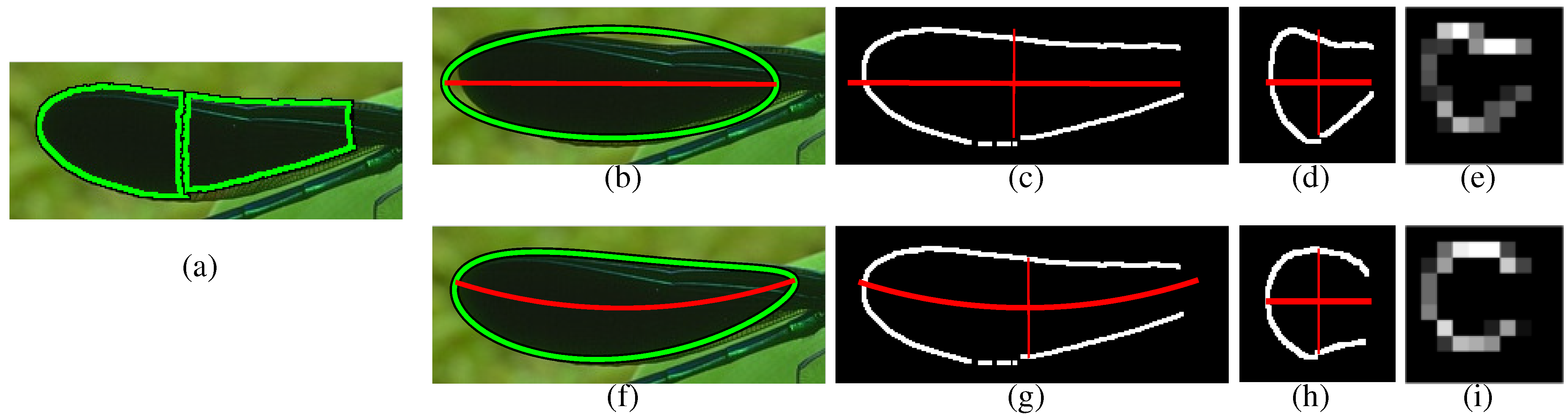 Symmetry 07 01333 g003 1024
