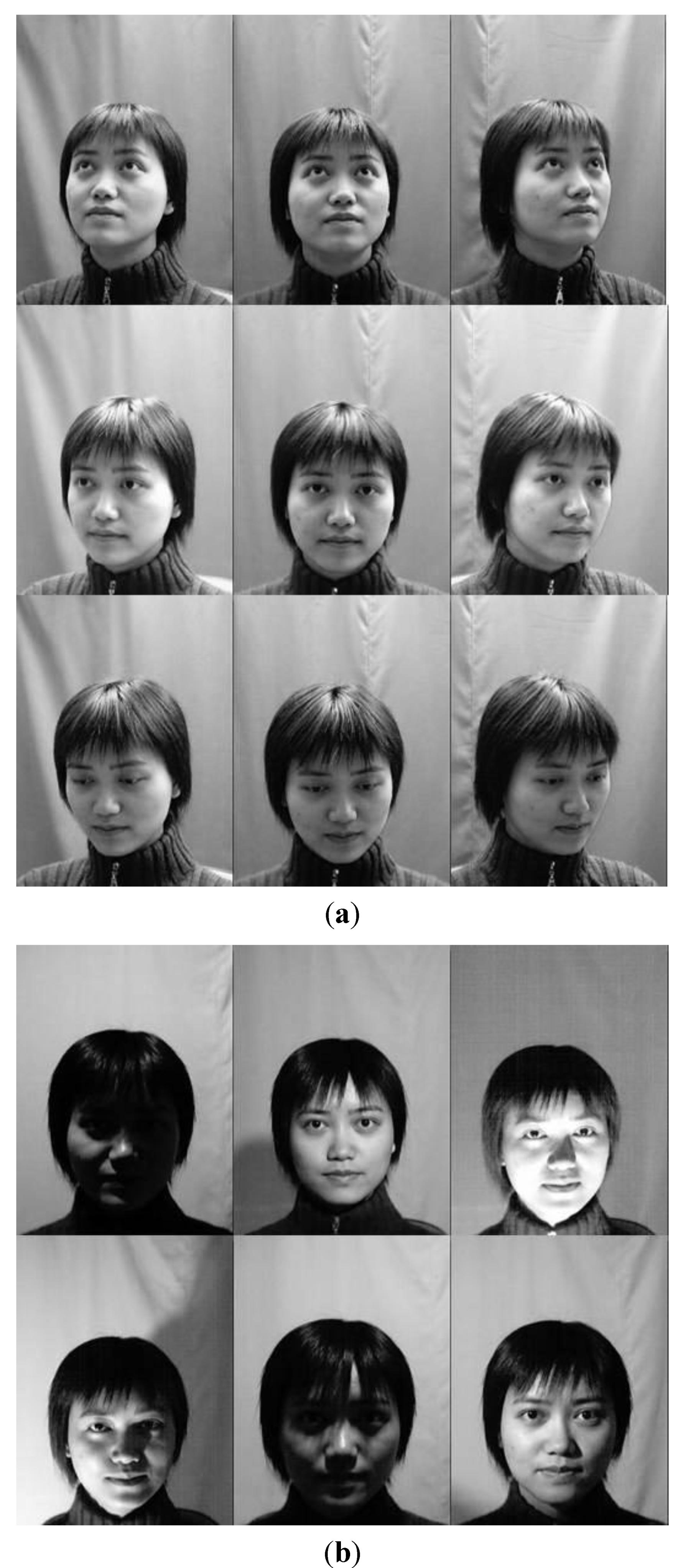 Symmetry 07 01475 g023a 1024