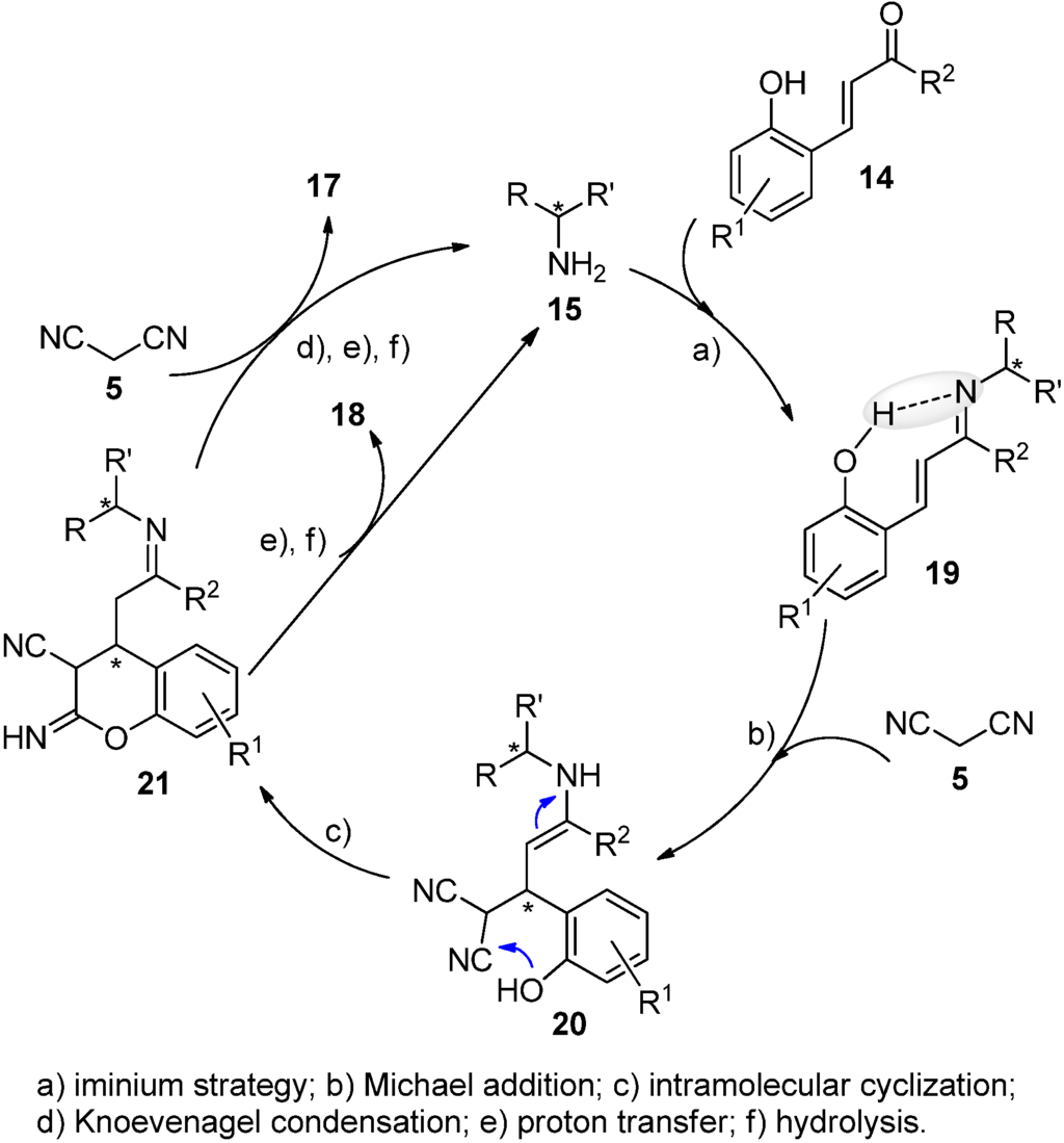 Symmetry Free FullText Enantioselective Organocatalyzed Synthesis