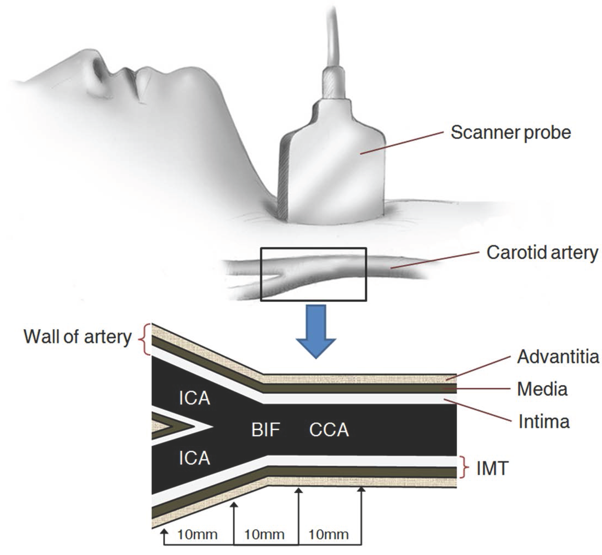 Symmetry 08 00047 g001 1024