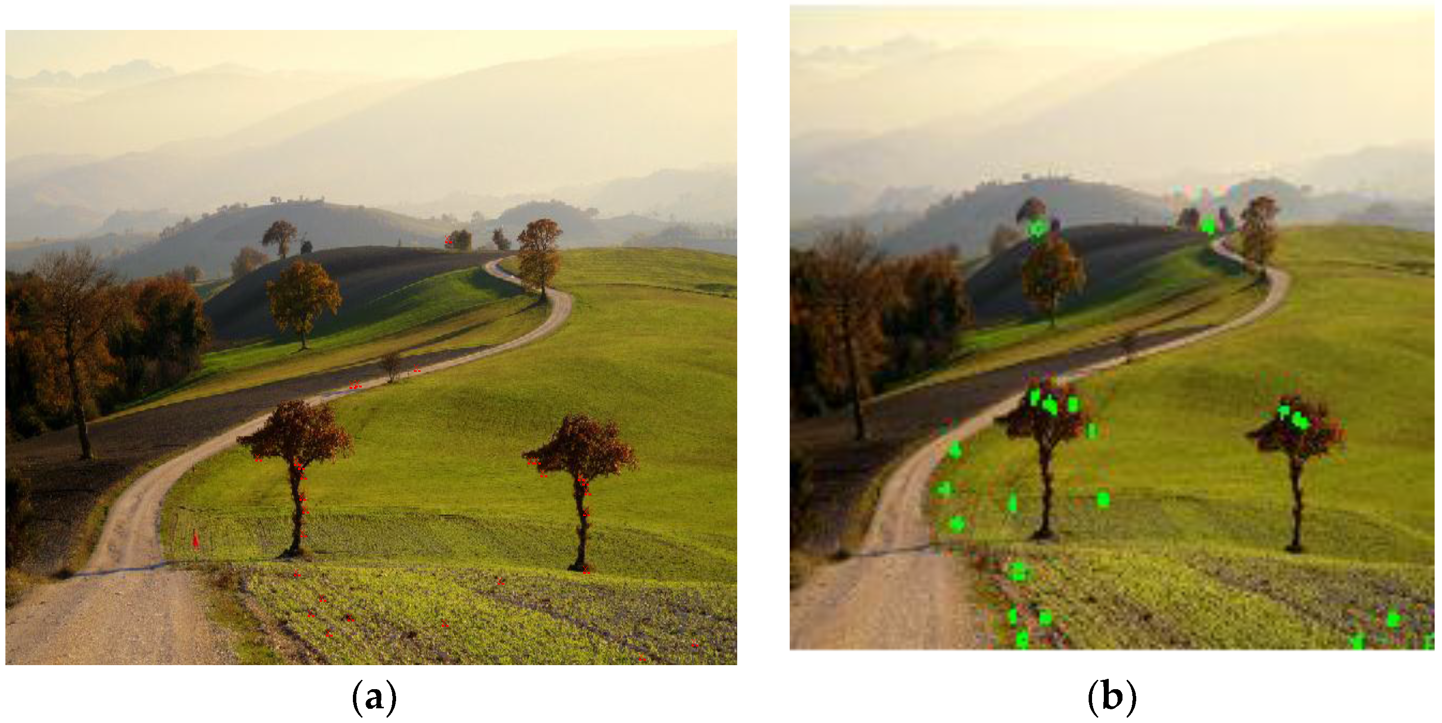 Symmetry 08 00062 g004