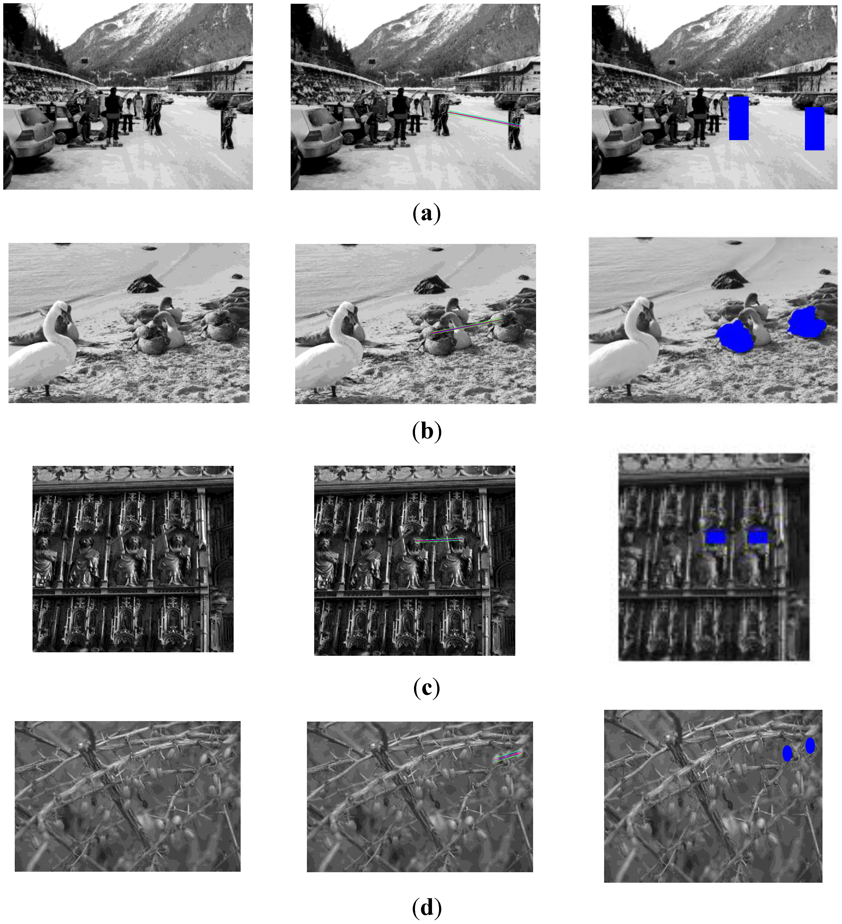 Symmetry 08 00062 g007
