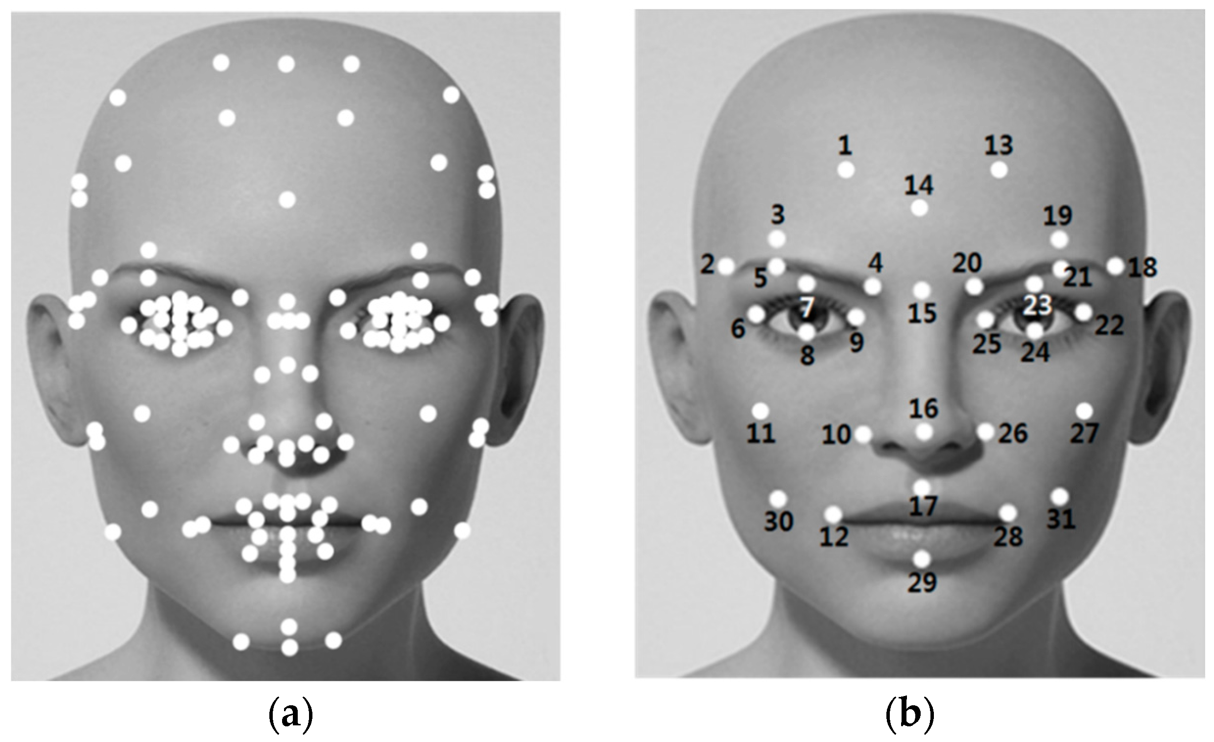 Symmetry | Free Full-Text | Facial Feature Movements Caused by Various Emotions: Differences According to Sex