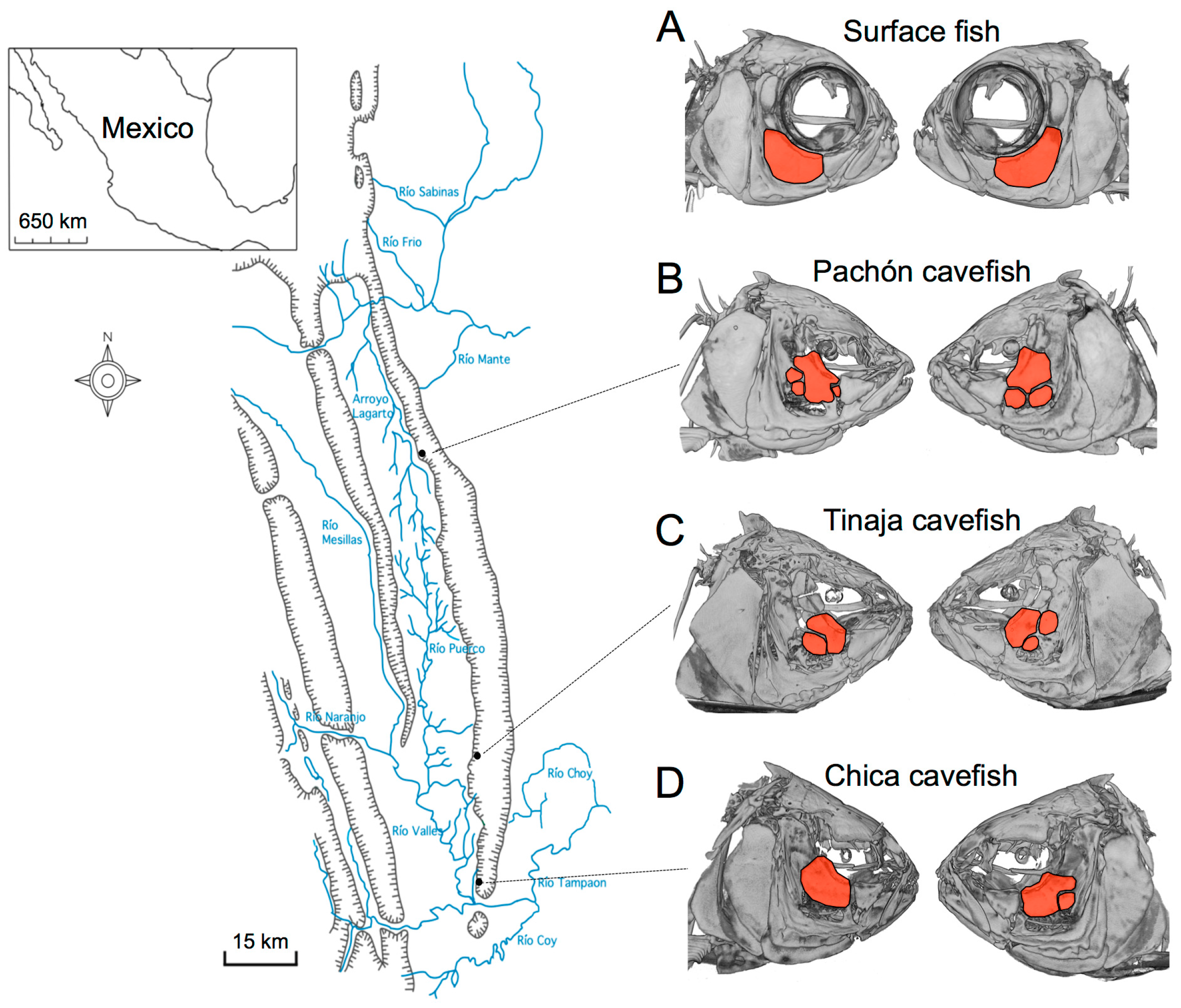 Symmetry 08 00118 g001 550