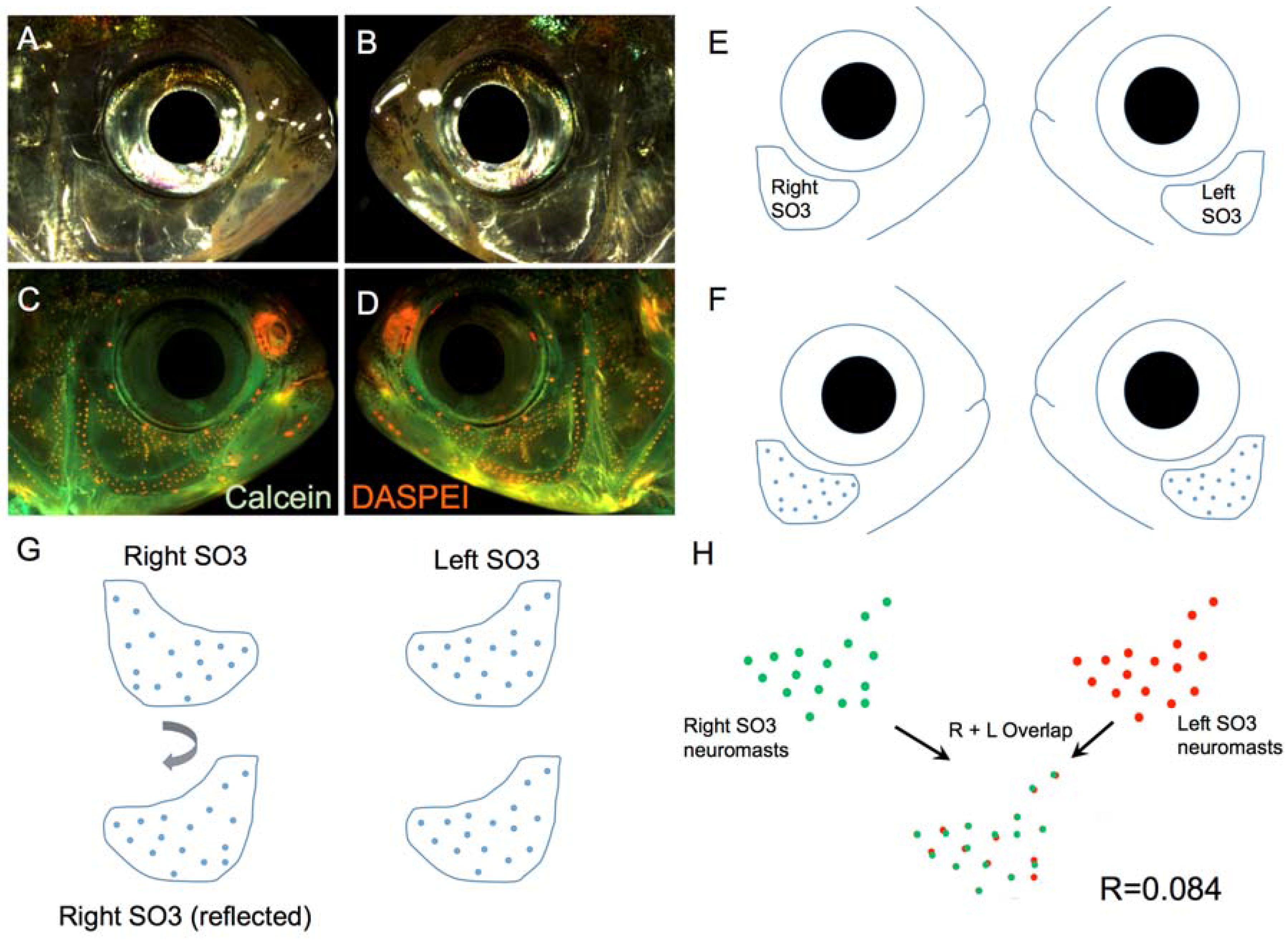 Symmetry 08 00118 g002 550