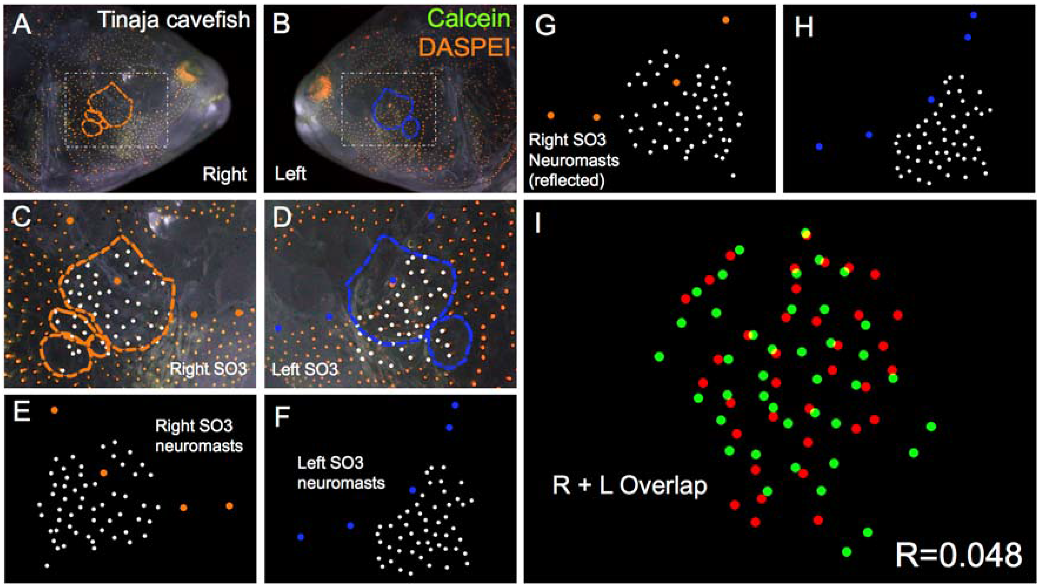 Symmetry 08 00118 g005 550