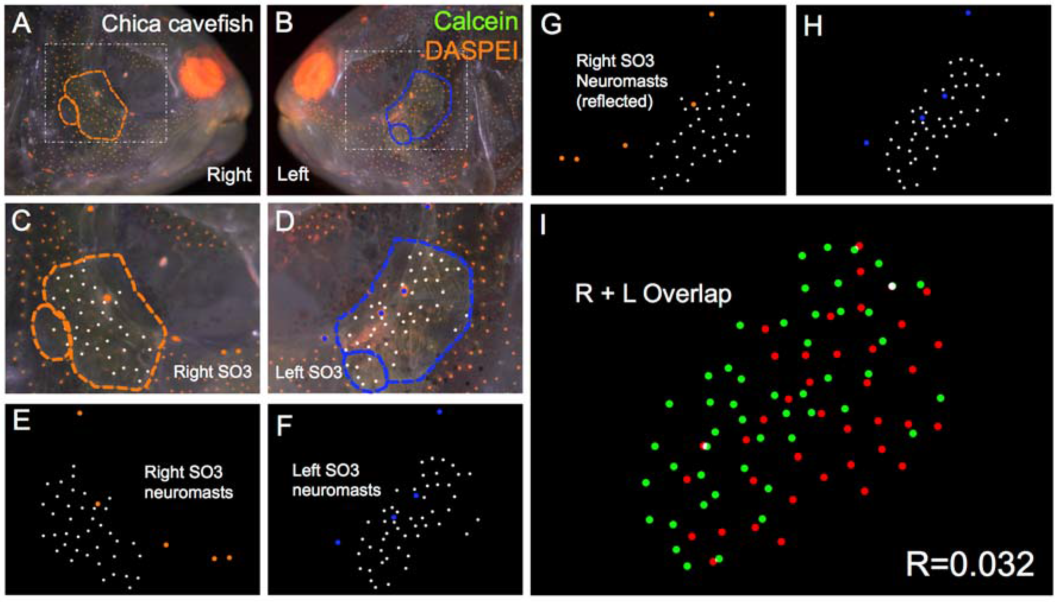 Symmetry 08 00118 g006 550