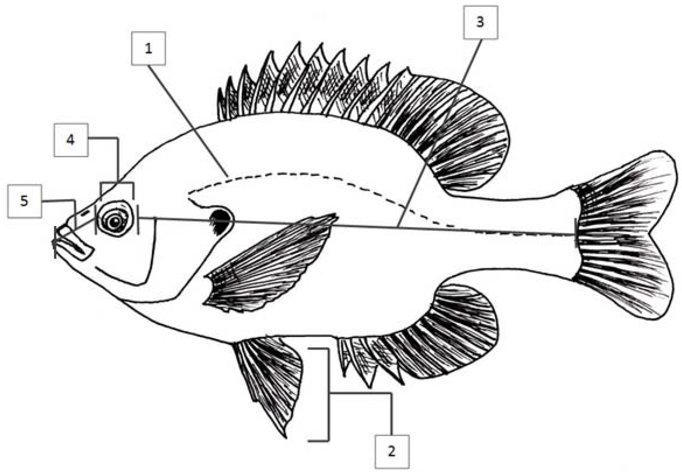 Symmetry 08 00124 g004 550