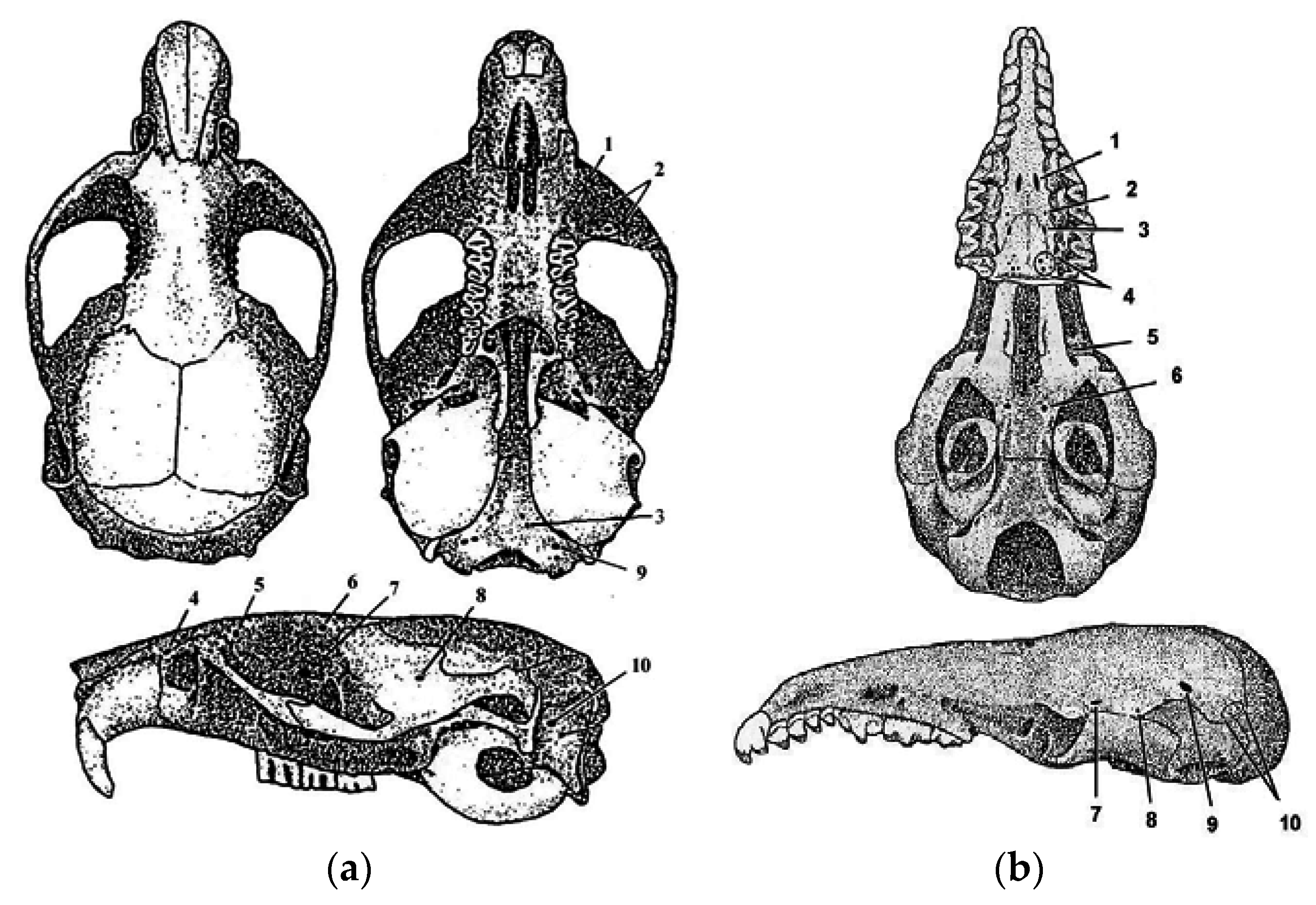 Symmetry 08 00142 g002 550