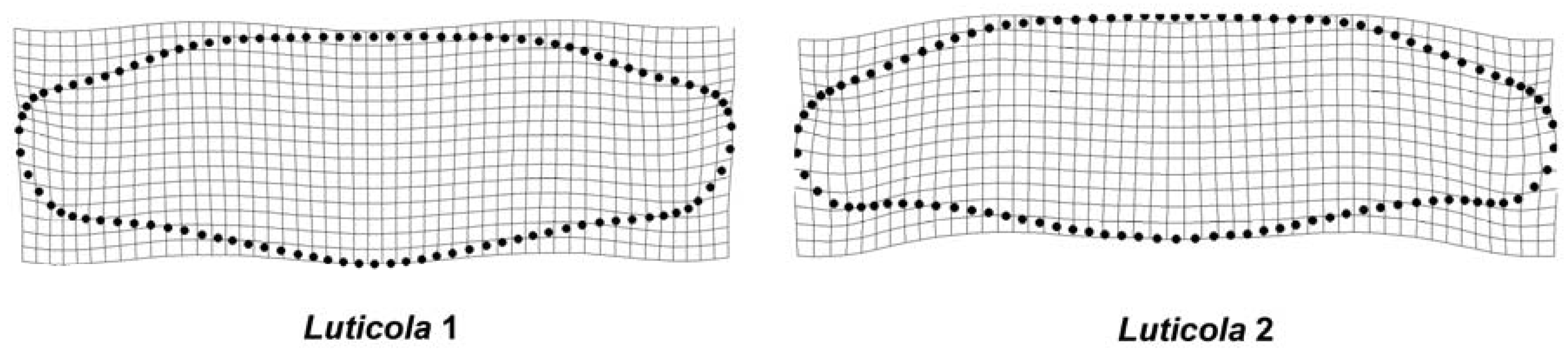 Symmetry 08 00150 g008