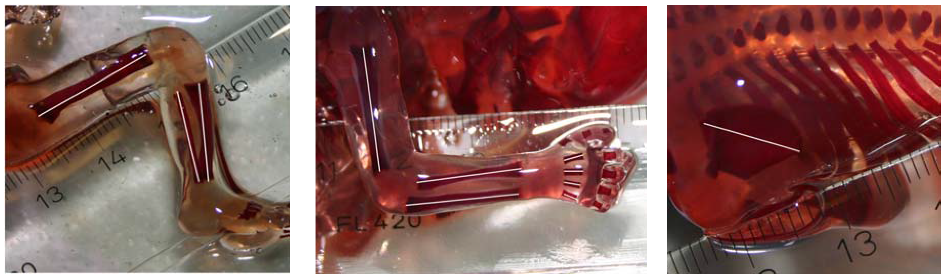 Symmetry 09 00044 g001 550