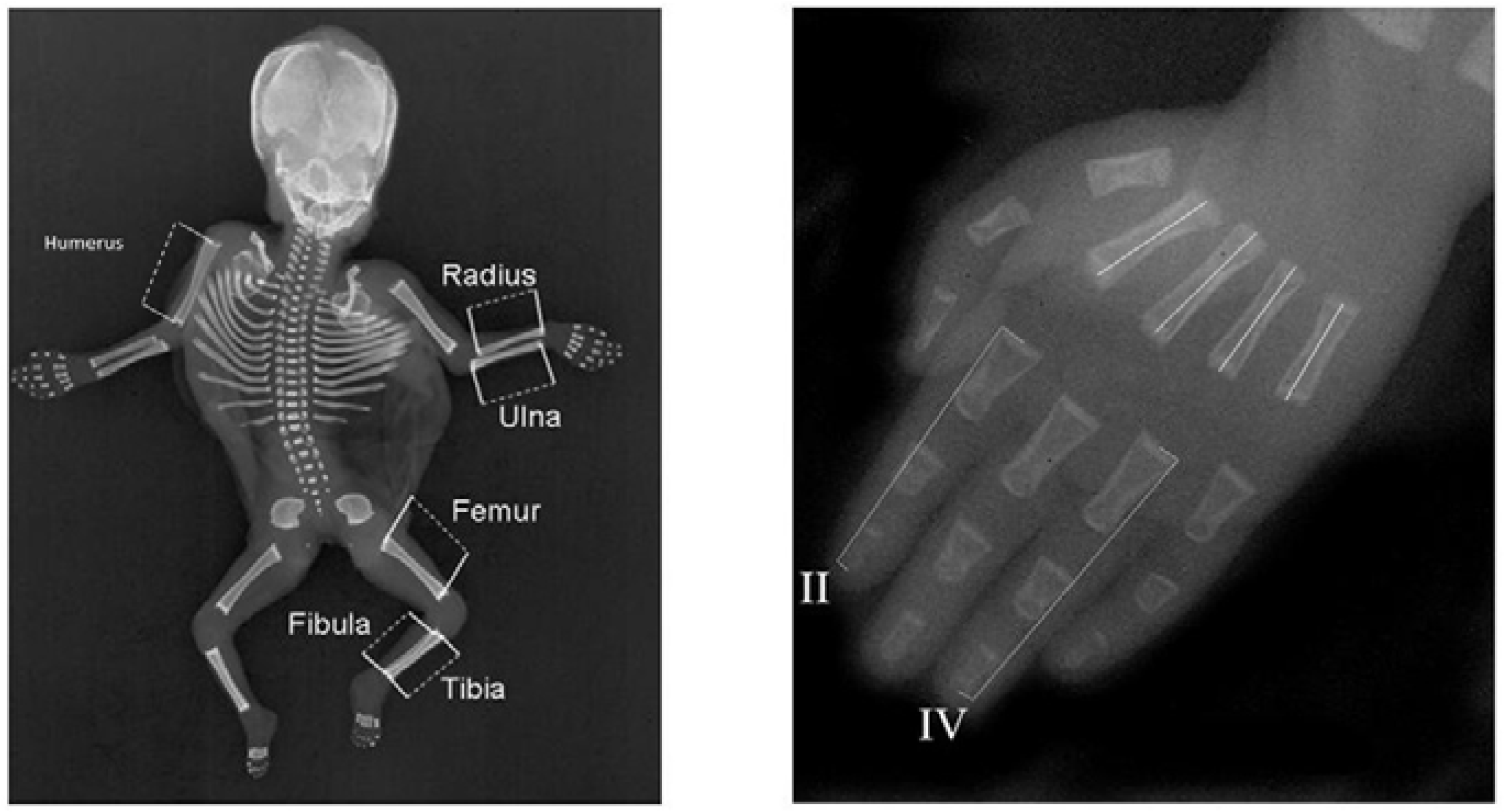 Symmetry 09 00044 g002 550