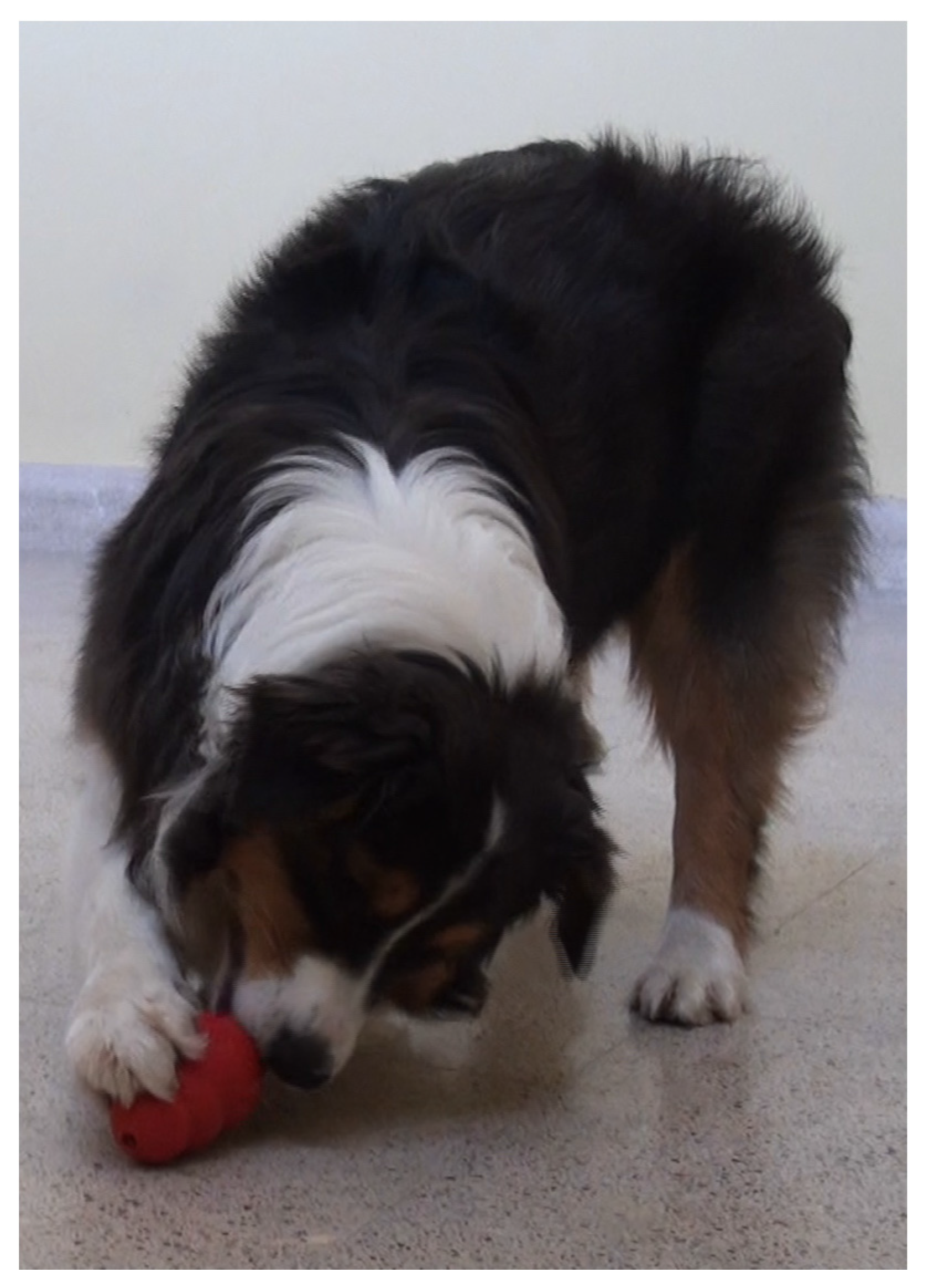 Symmetry 09 00071 g002