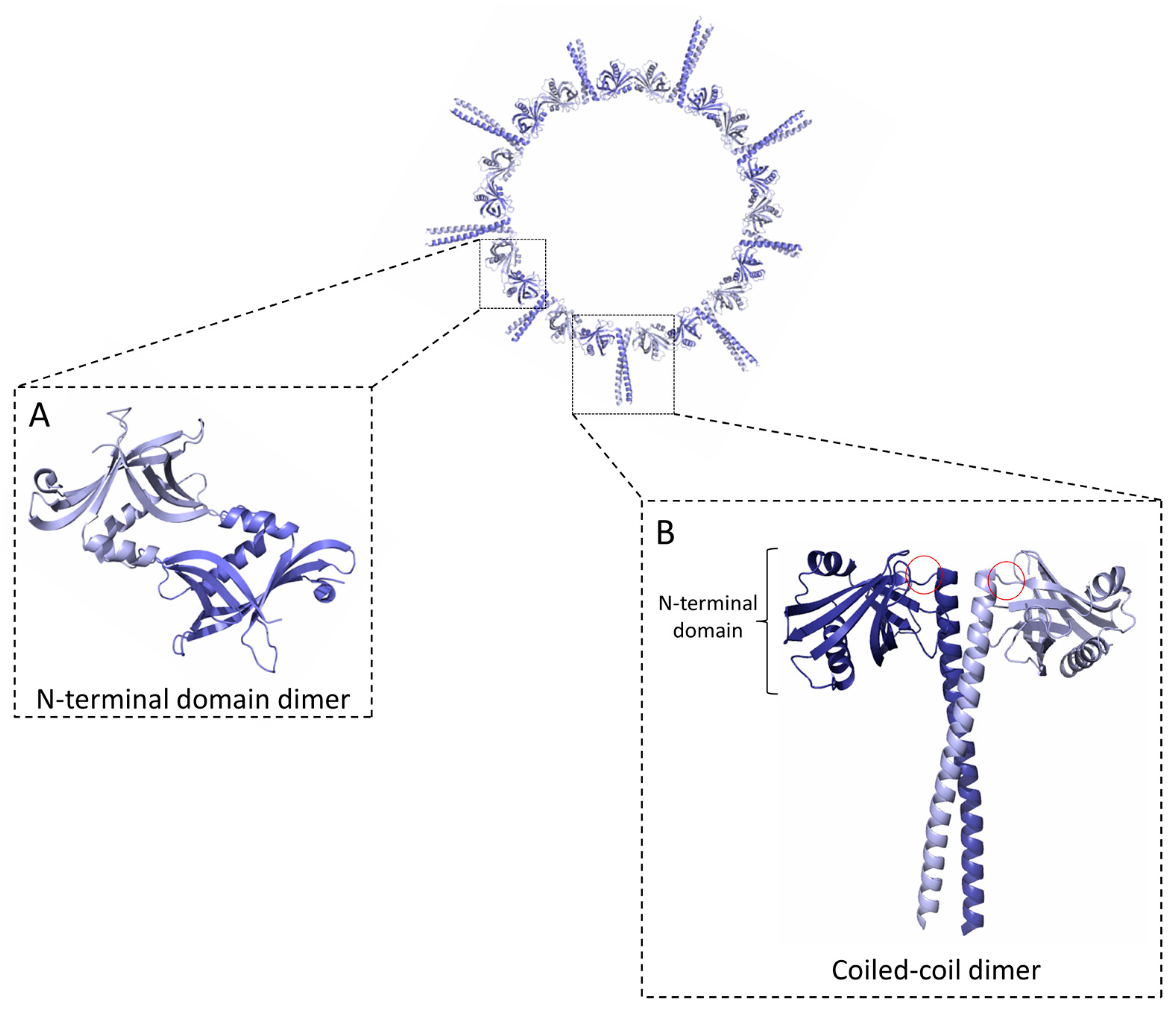 Symmetry 09 00074 g001 550