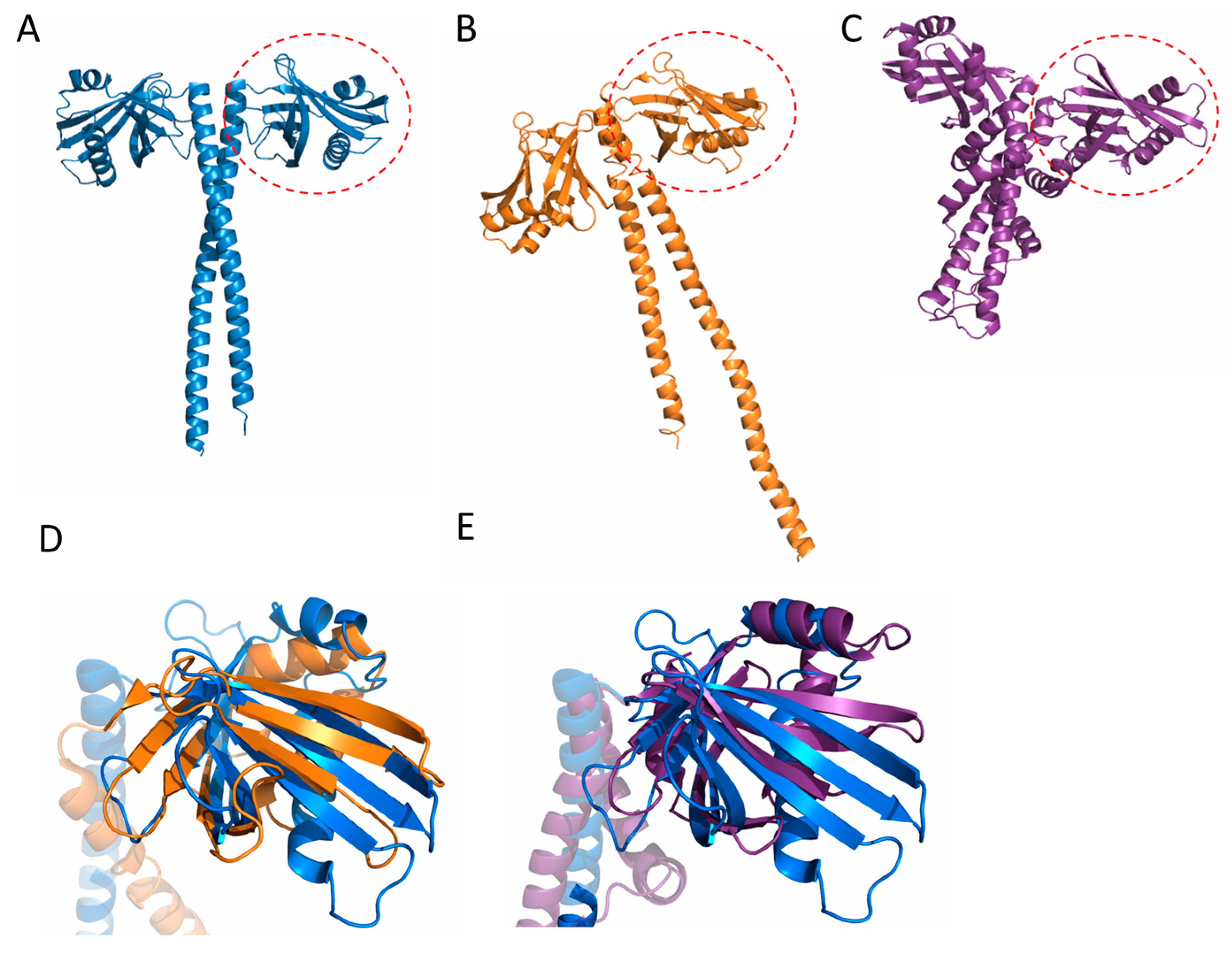 Symmetry 09 00074 g002 550