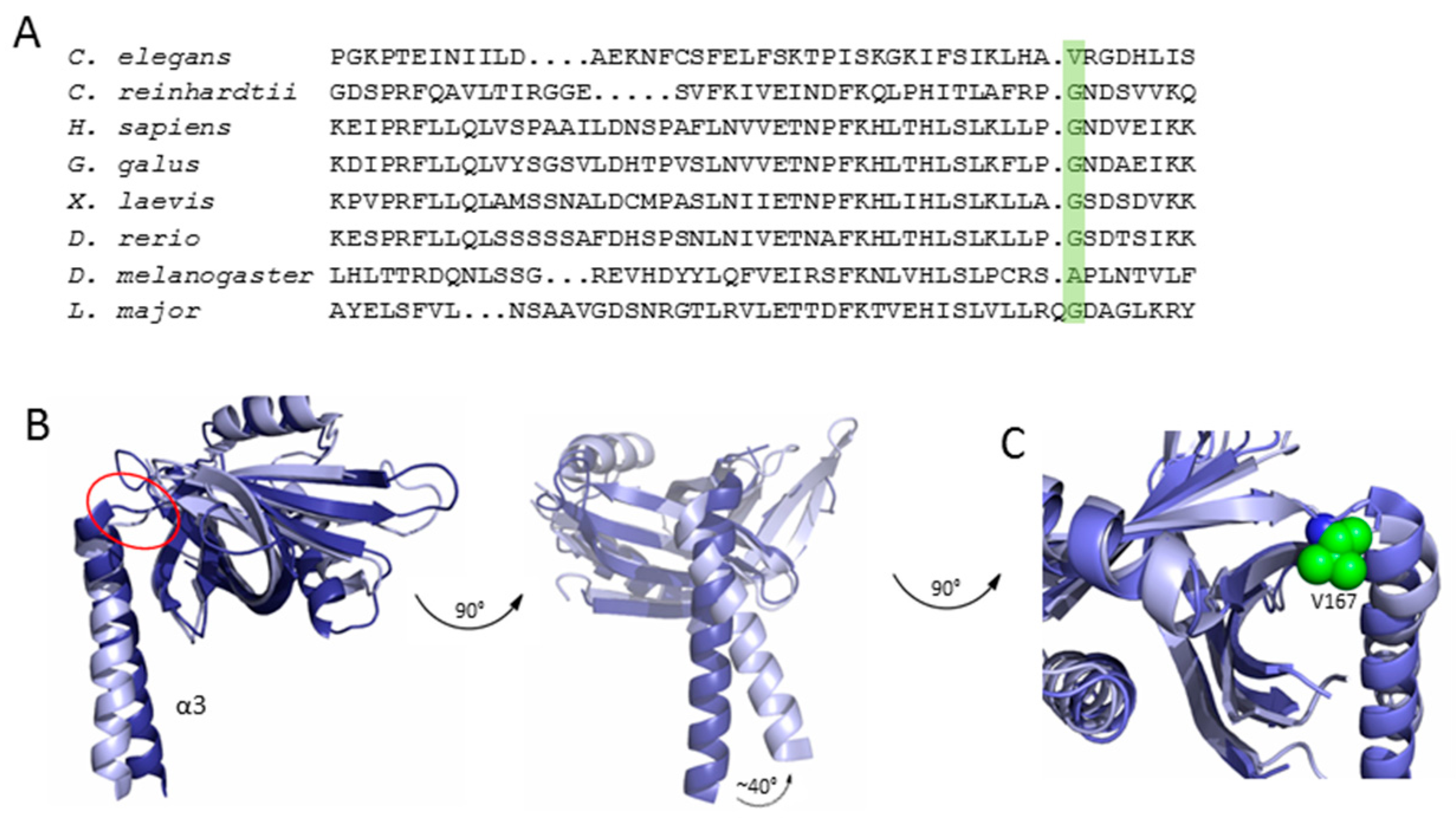 Symmetry 09 00074 g005 550