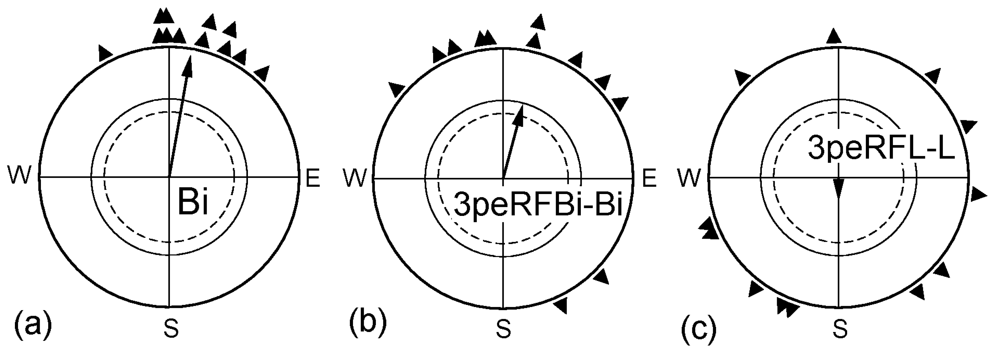 diagram of magnetic compass