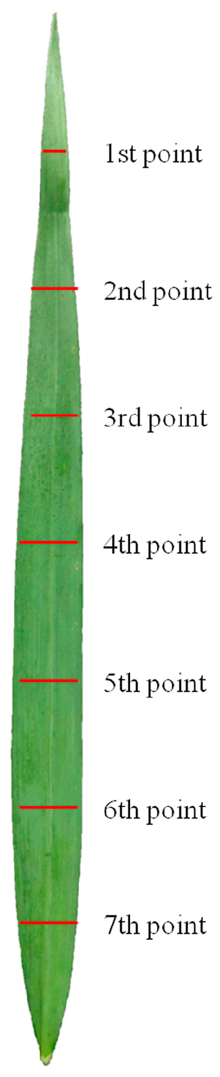 Symmetry 09 00083 g001